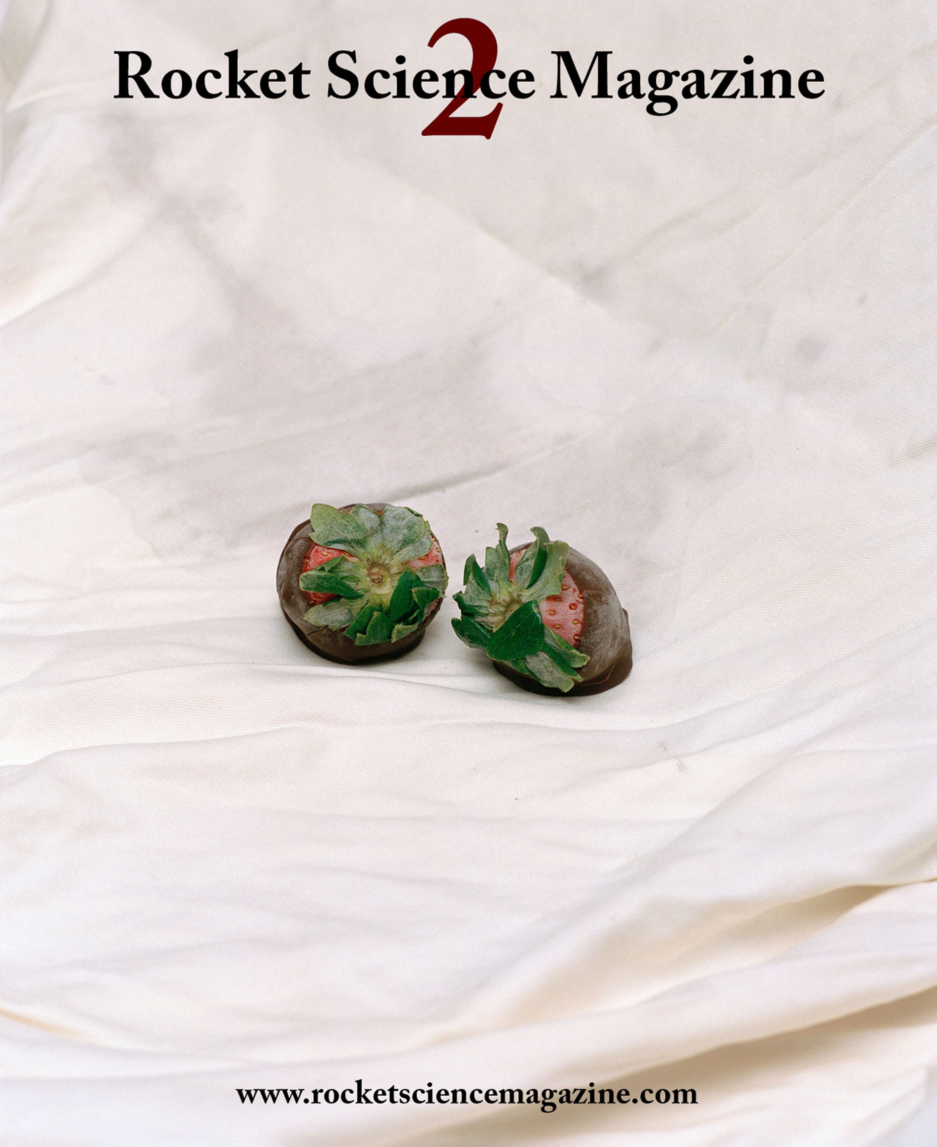 Rocket Science Magazine Issue 2 by Pauline Magnenat