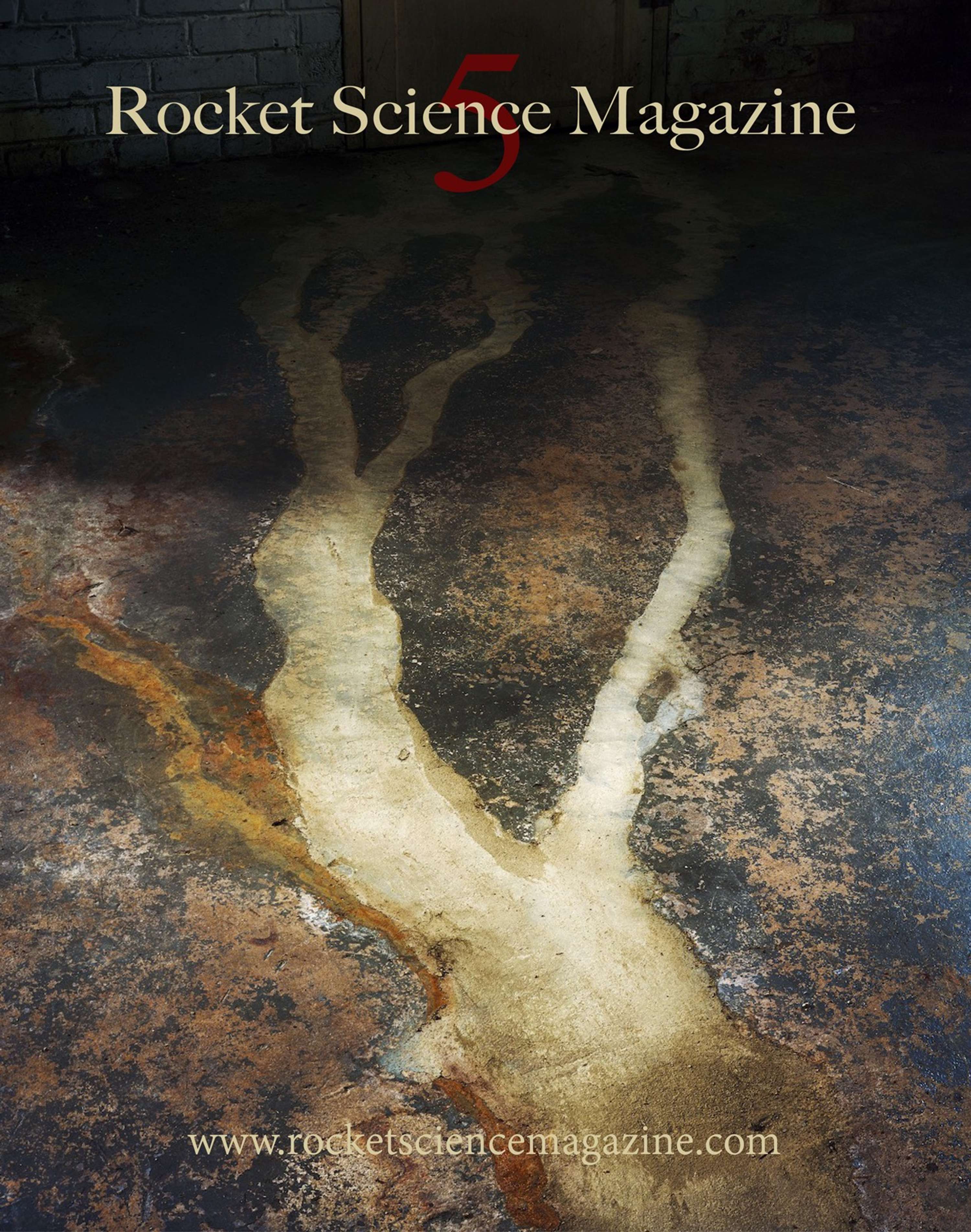 Rocket Science Magazine - Issue 5 by Pauline Magnenat