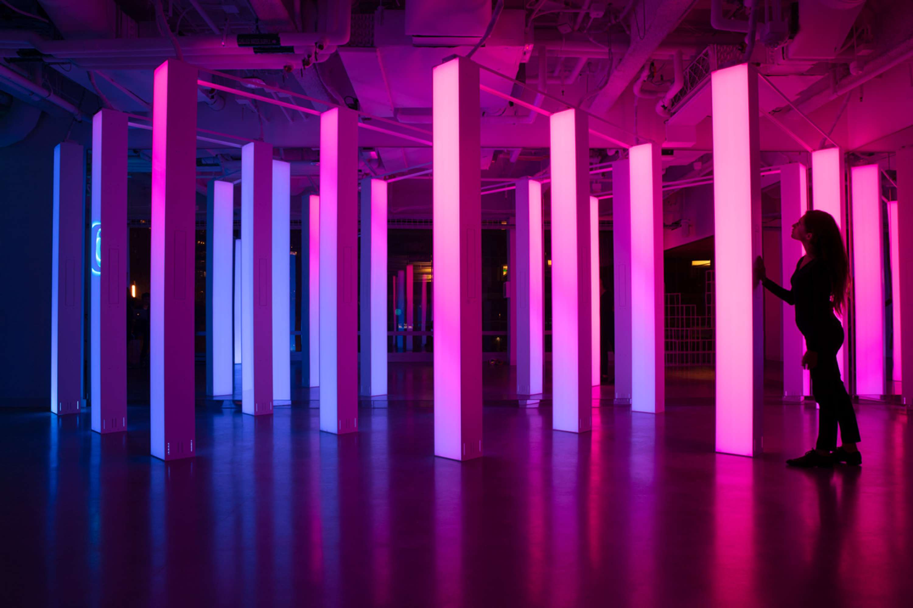 LIGHT FOREST by Yves Peitzner