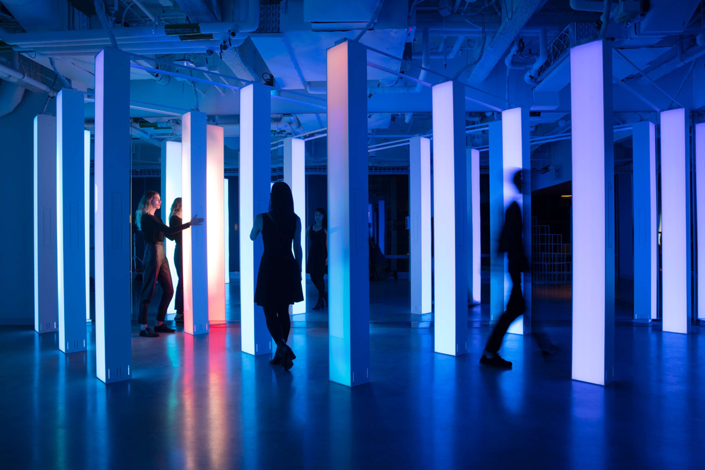 LIGHT FOREST by Yves Peitzner