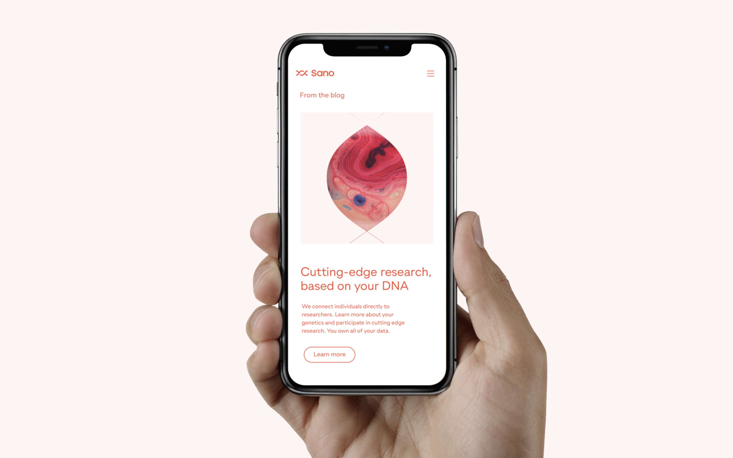 Visual Identity, Web Design, Product UI, Packaging by Point Studio