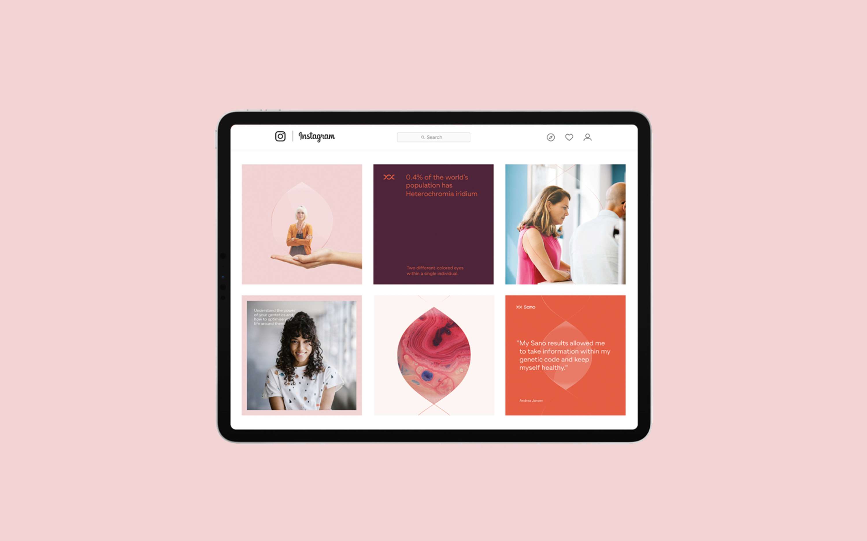 Visual Identity, Web Design, Product UI, Packaging by Point Studio
