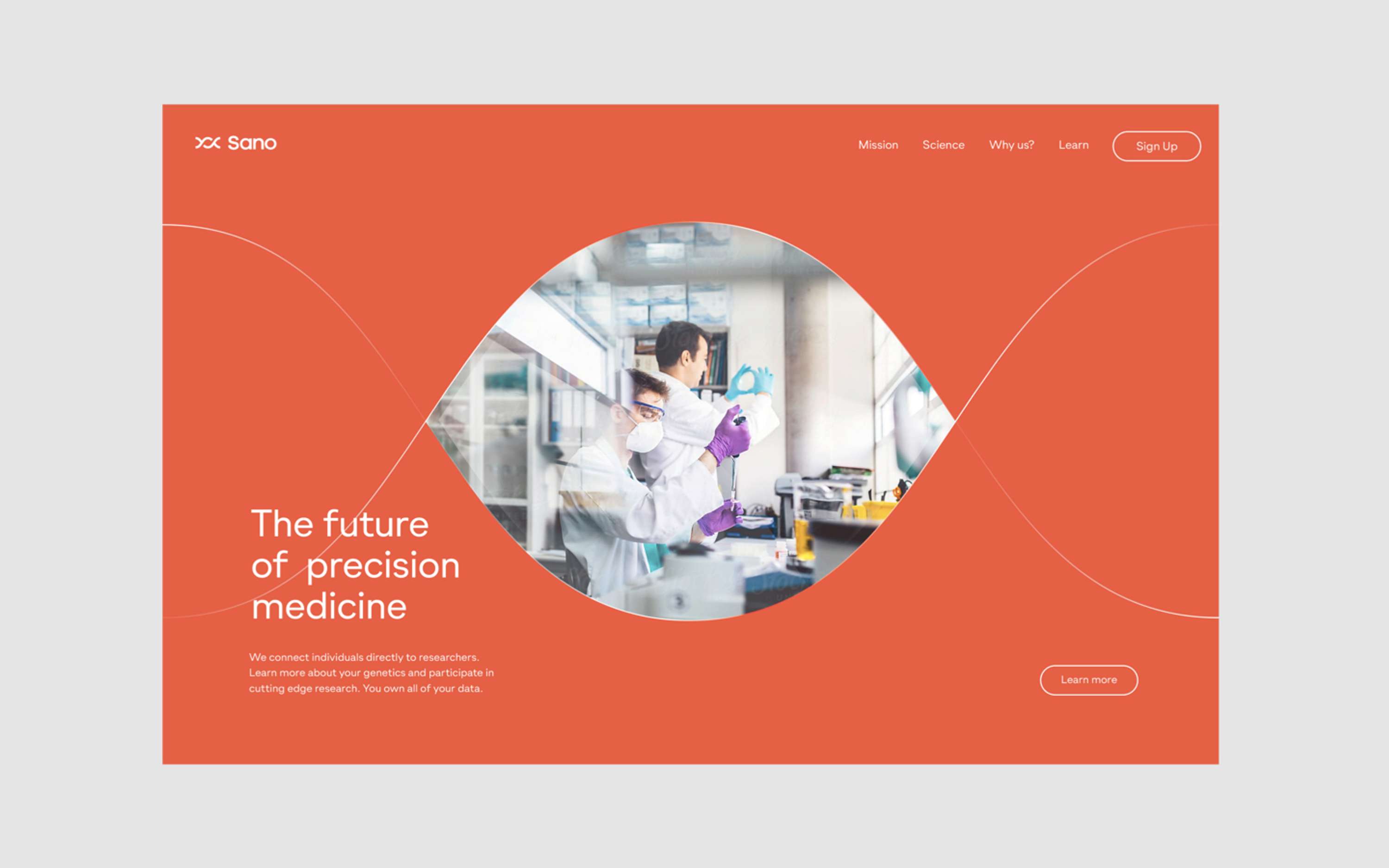 Visual Identity, Web Design, Product UI, Packaging by Point Studio