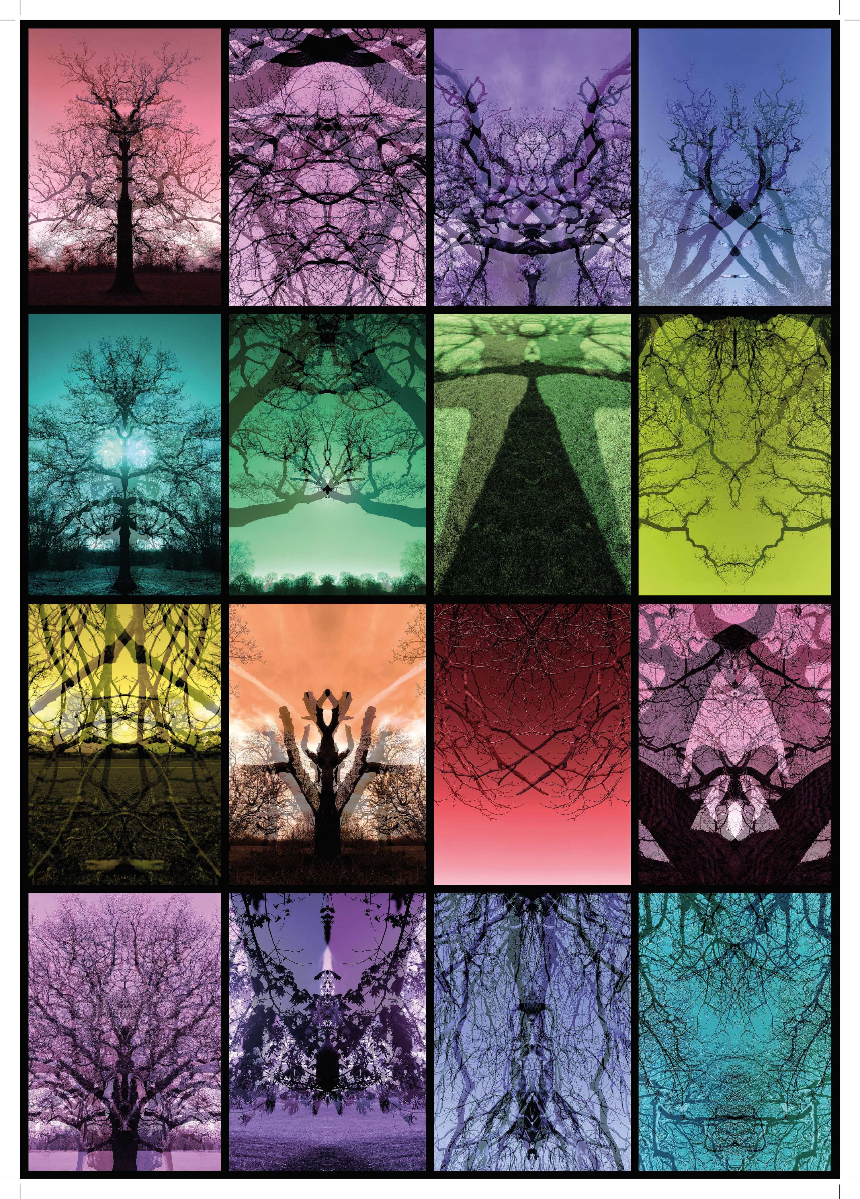 #Whatdoyousee Images by Daniel Varney