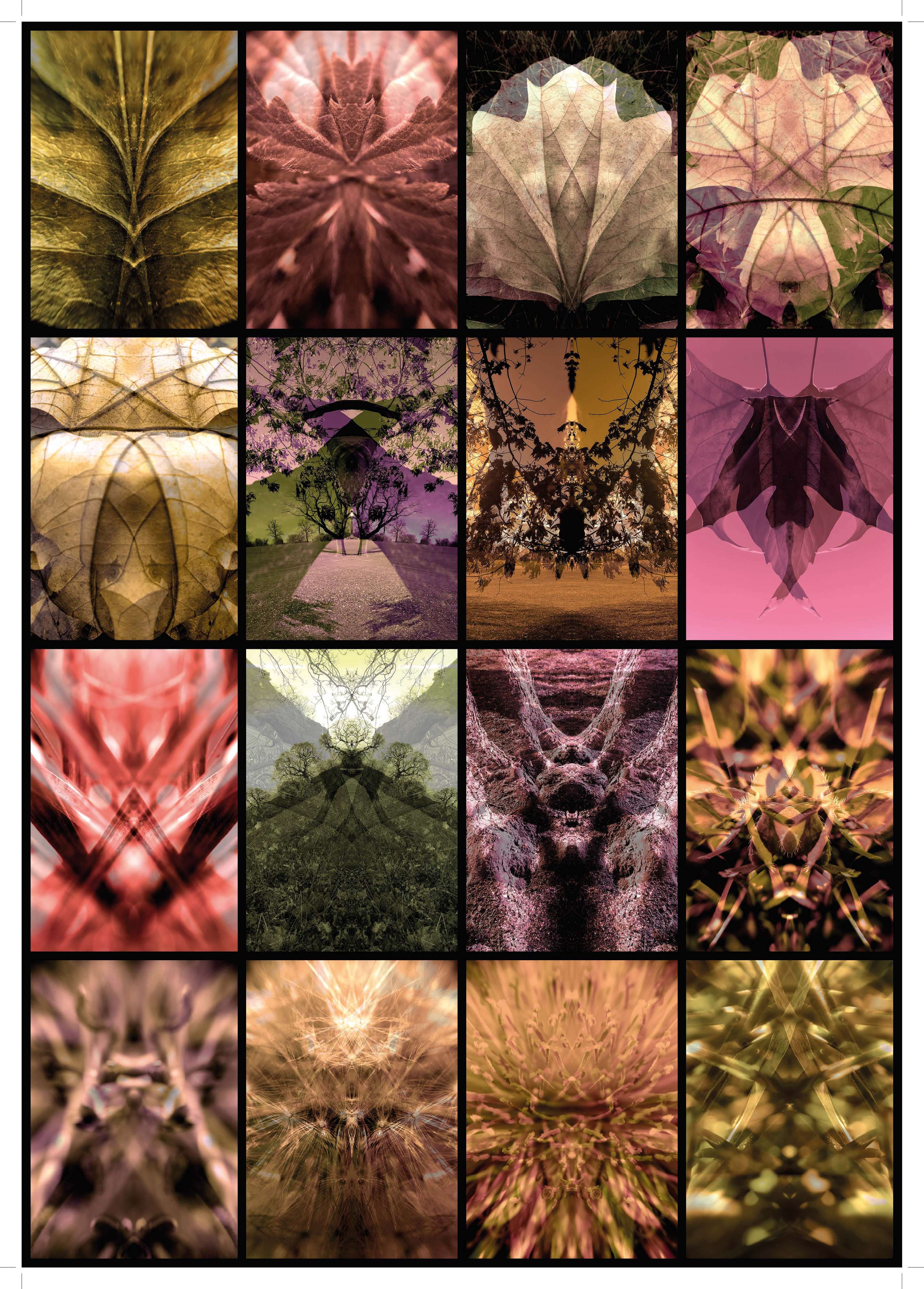 #Whatdoyousee Images by Daniel Varney