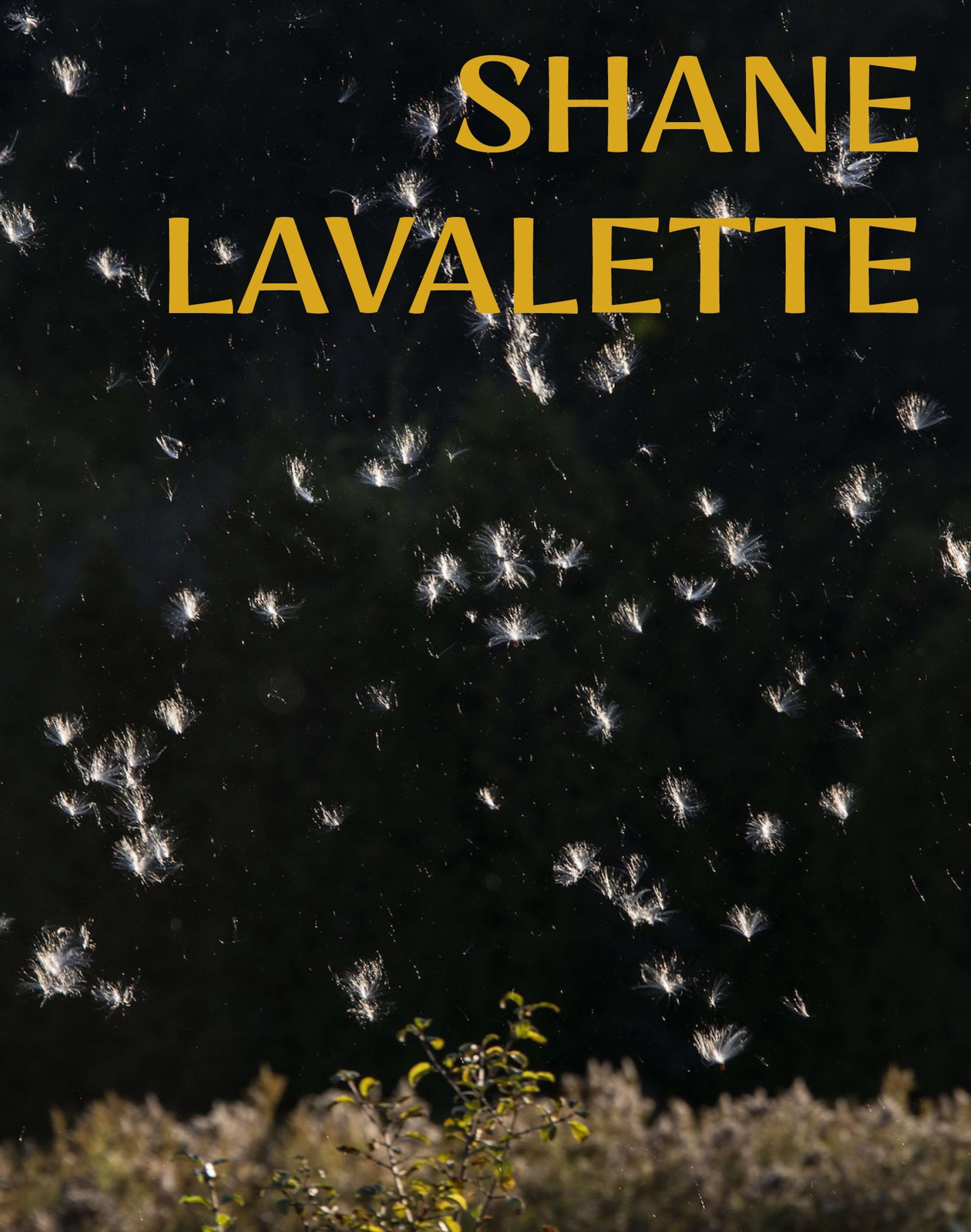 Rocket Science Magazine - Issue 6 by Pauline Magnenat