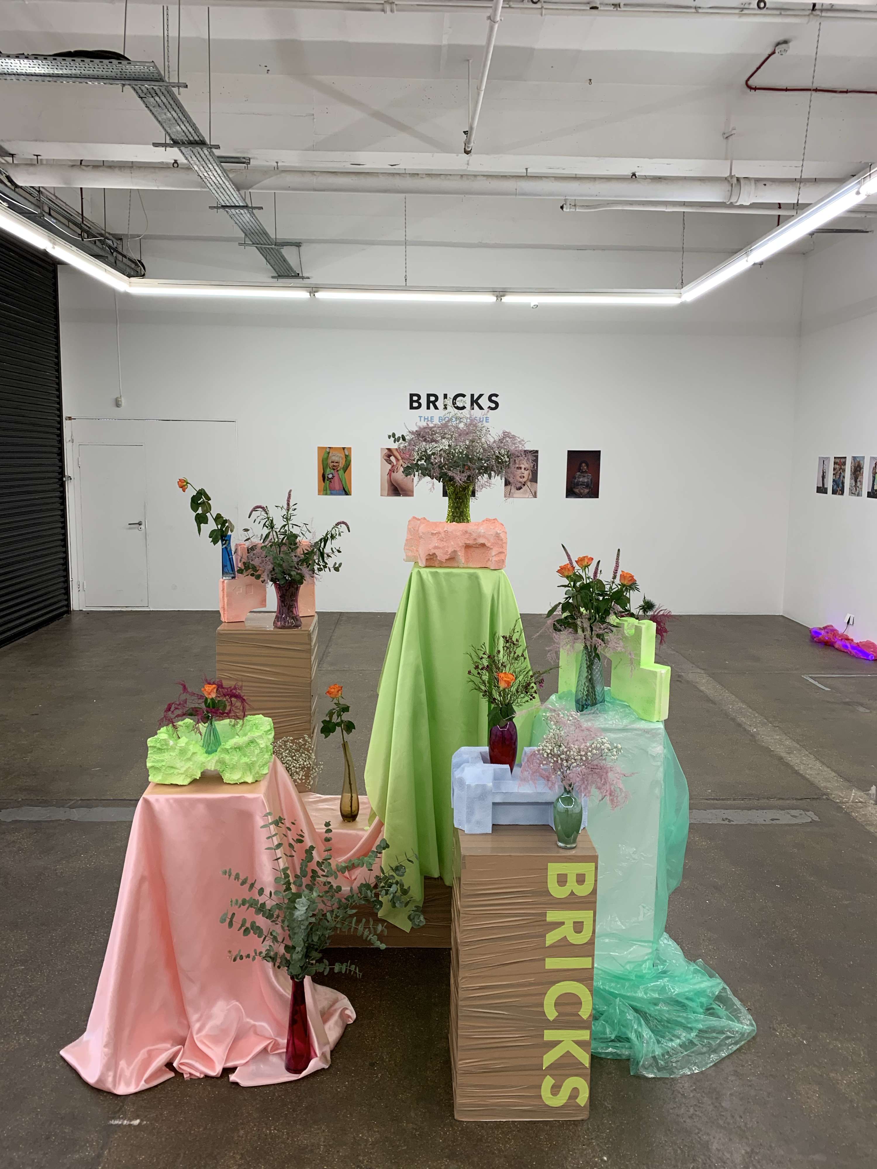 BRICKS Issue Launch by Robin McGonigle