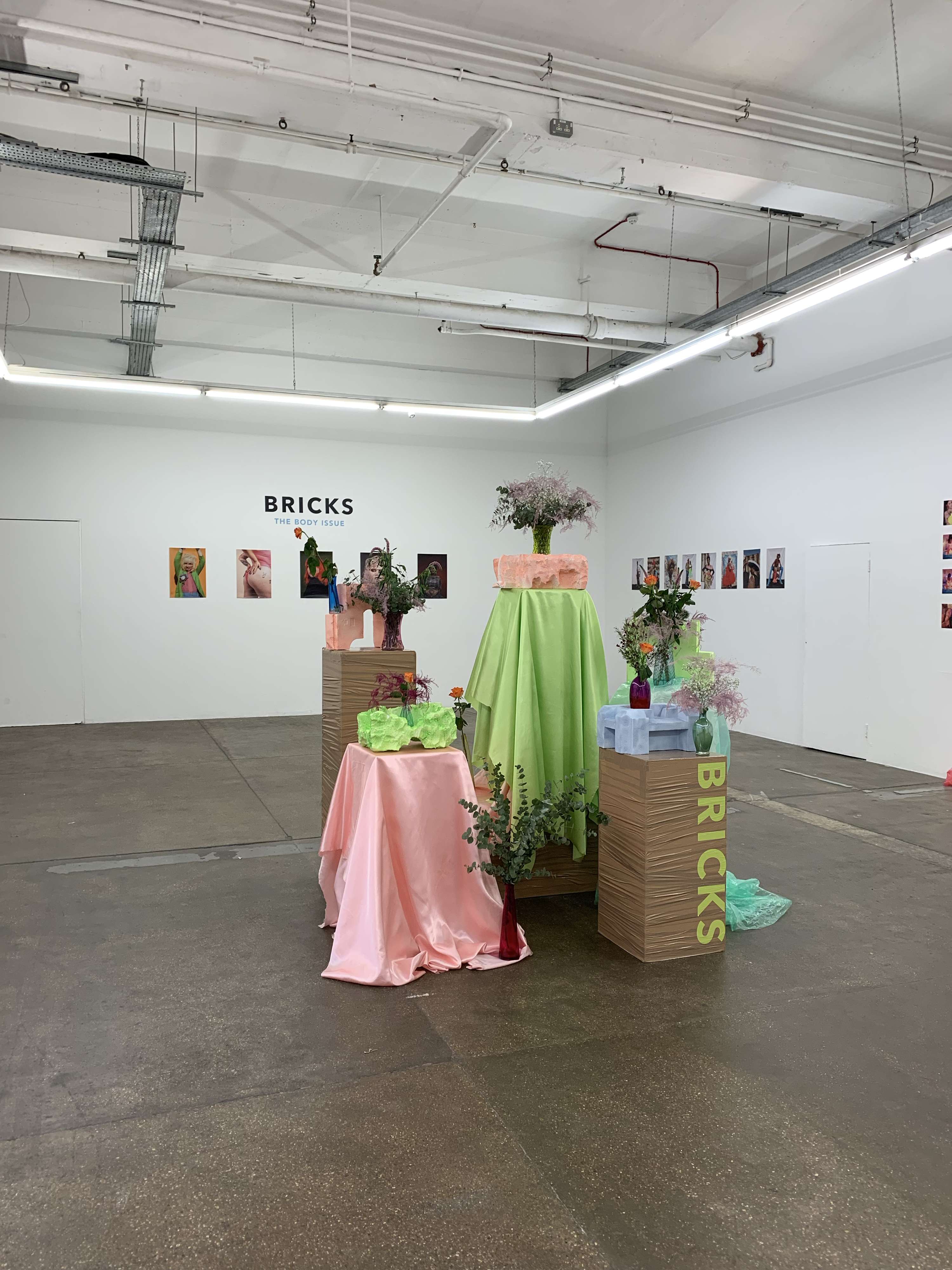 BRICKS Issue Launch by Robin McGonigle