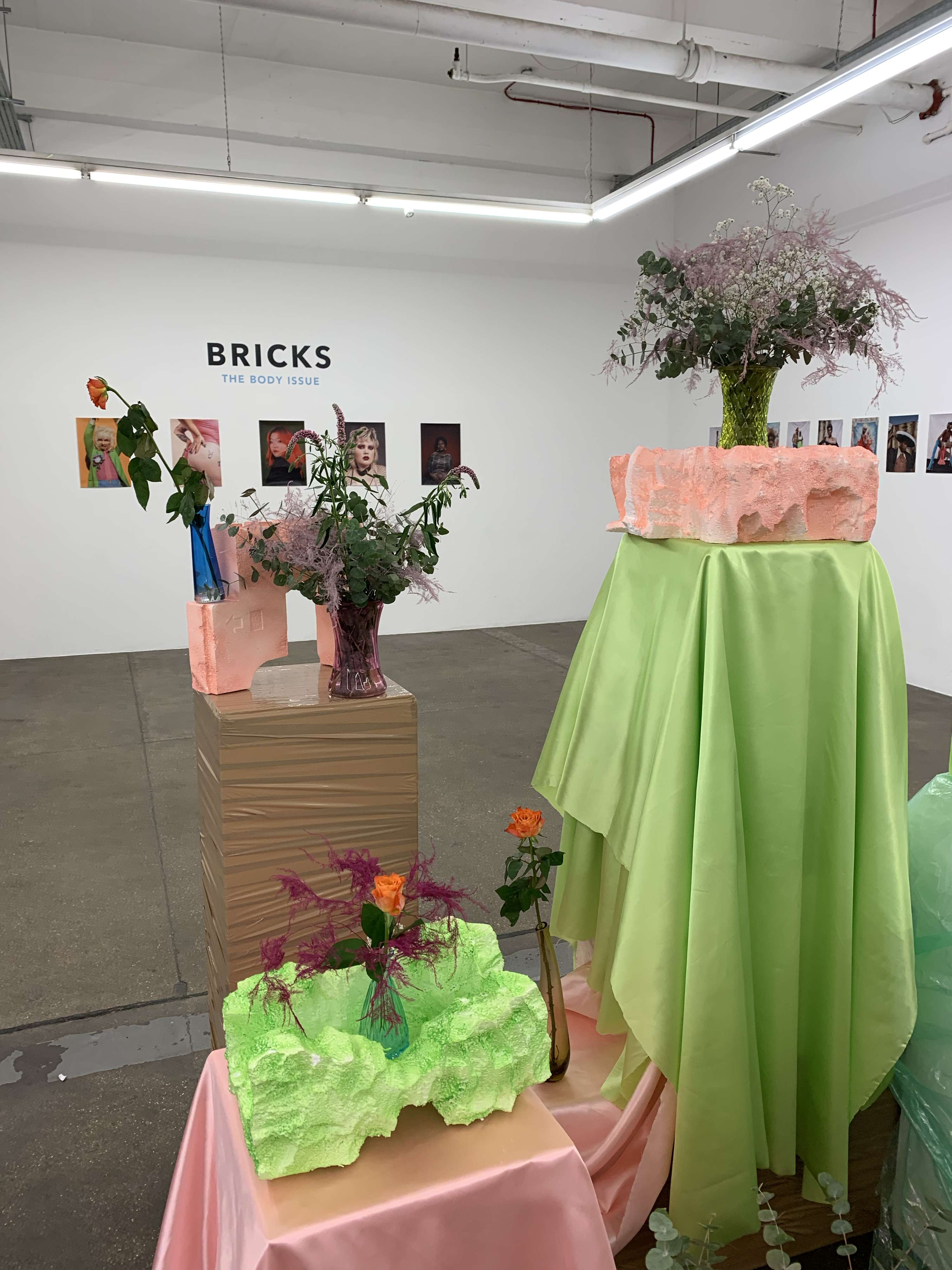 BRICKS Issue Launch by Robin McGonigle