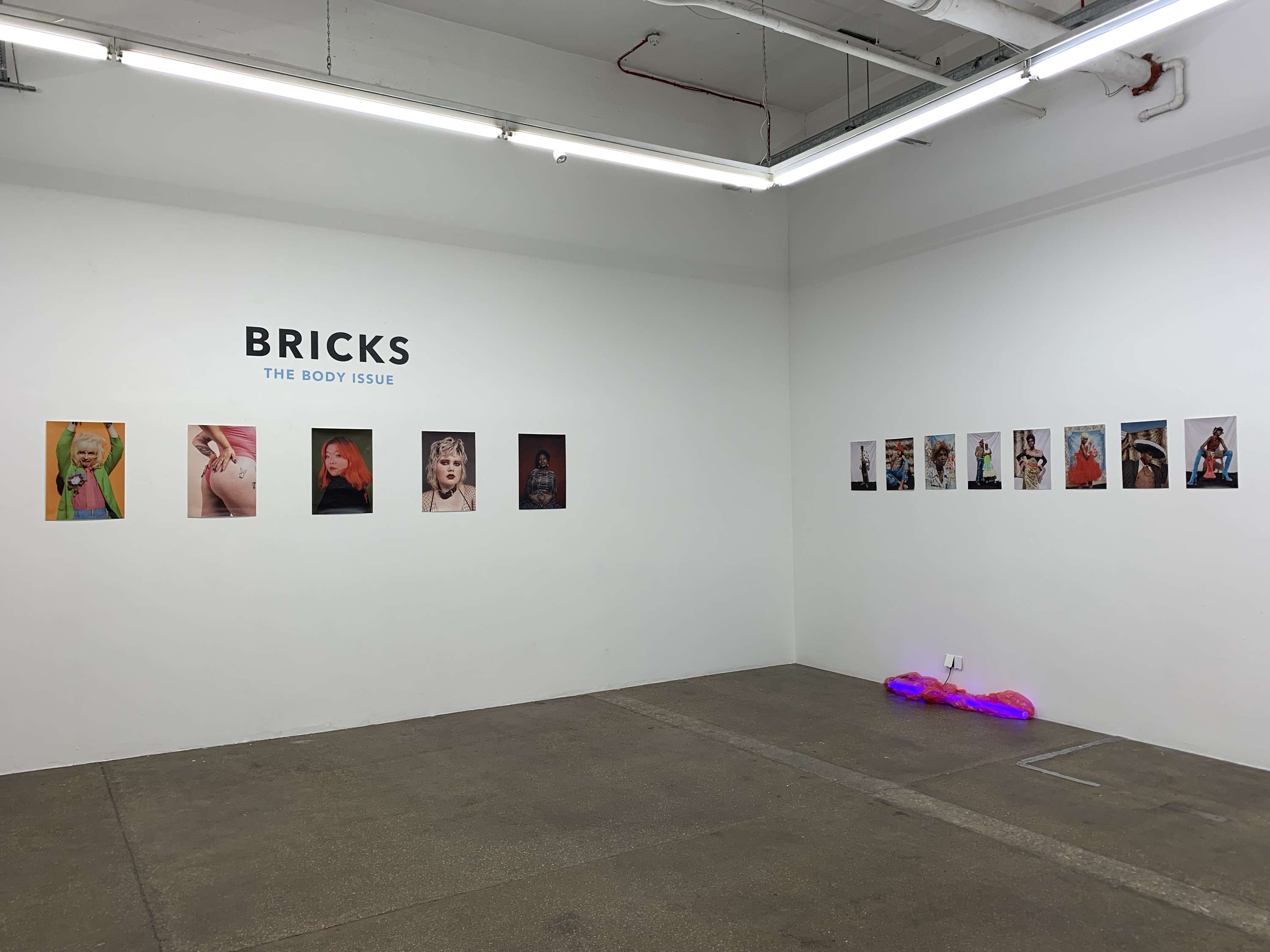 BRICKS Issue Launch by Robin McGonigle