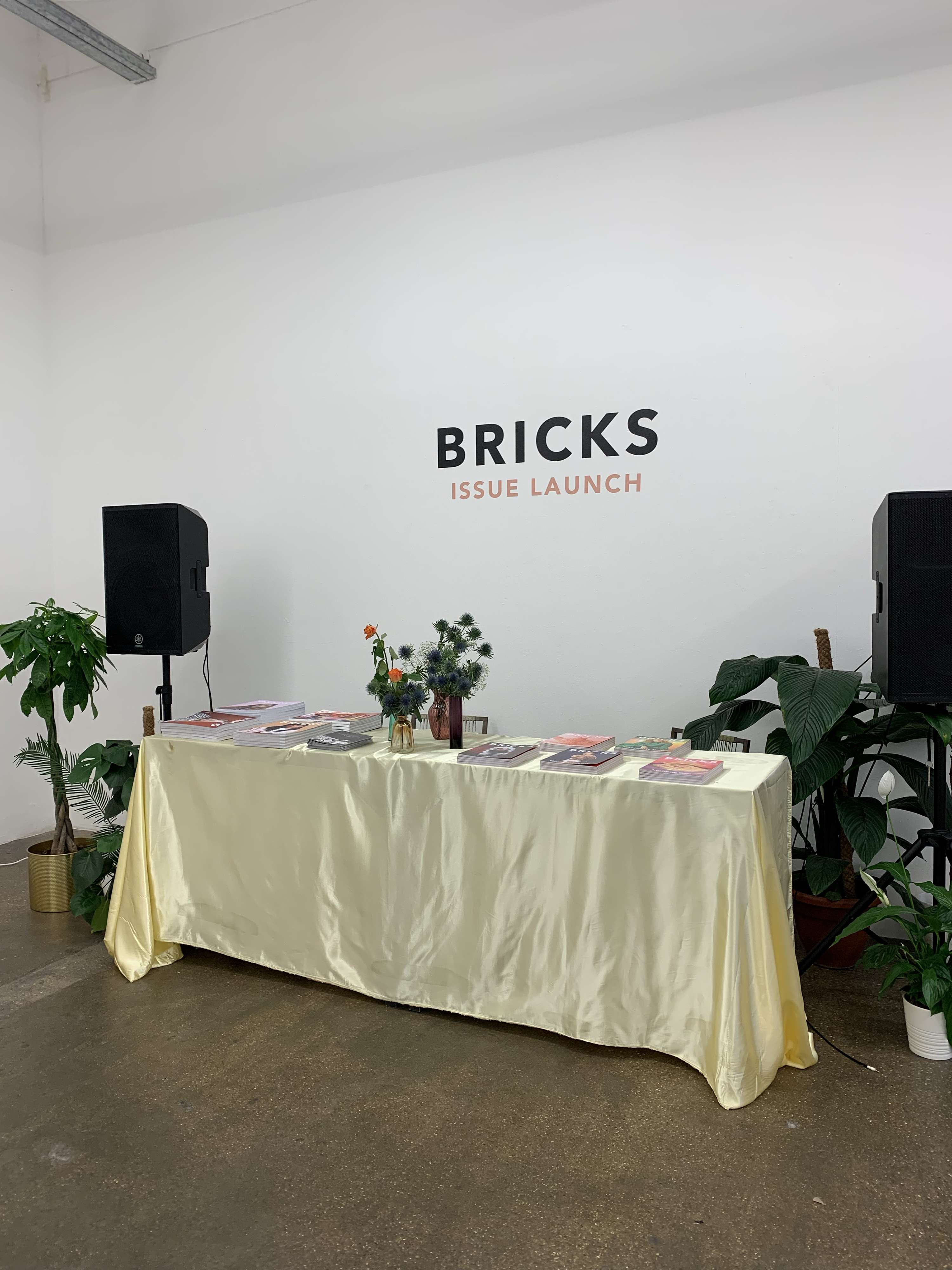 BRICKS Issue Launch by Robin McGonigle