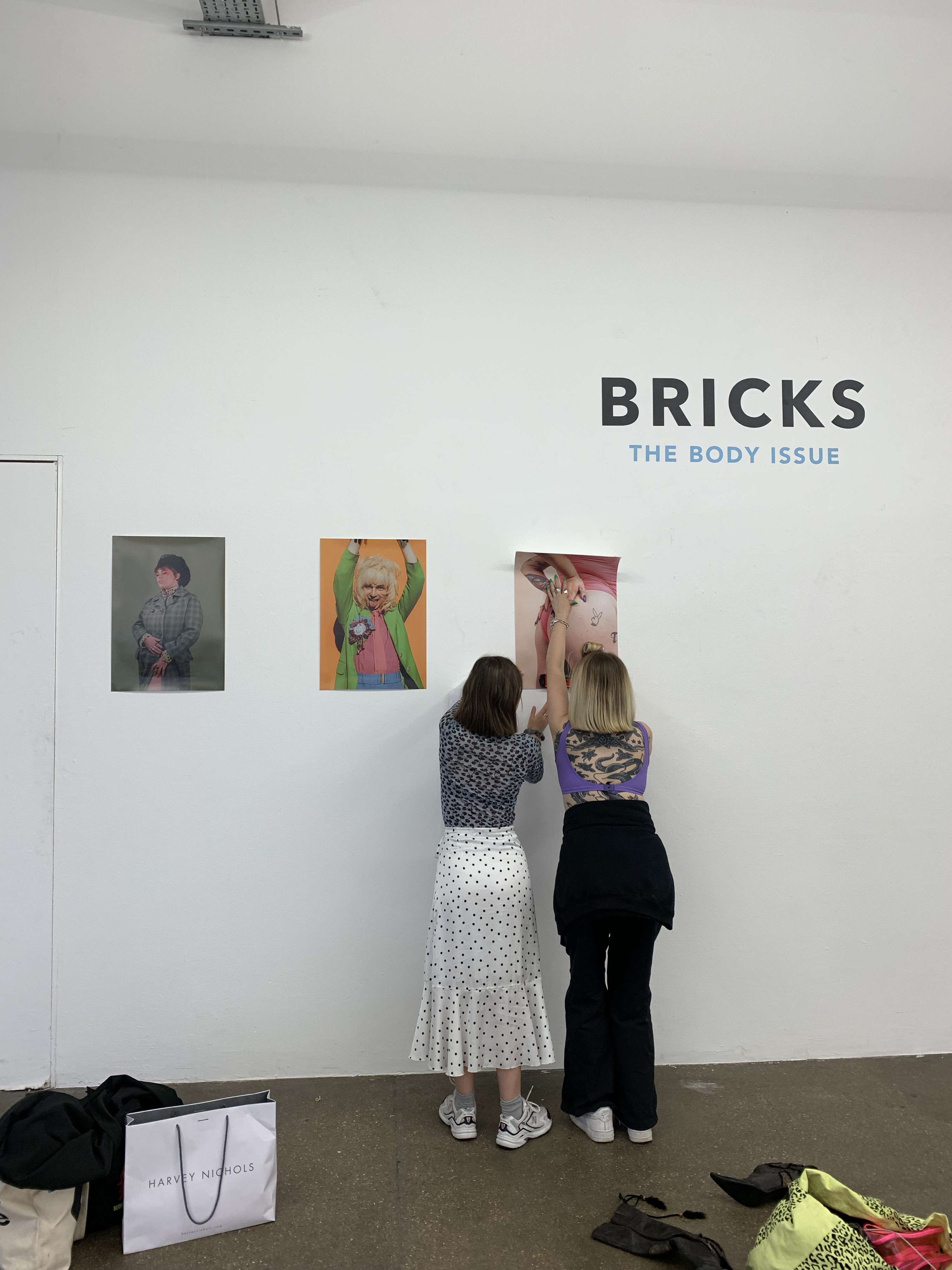 BRICKS Issue Launch by Robin McGonigle