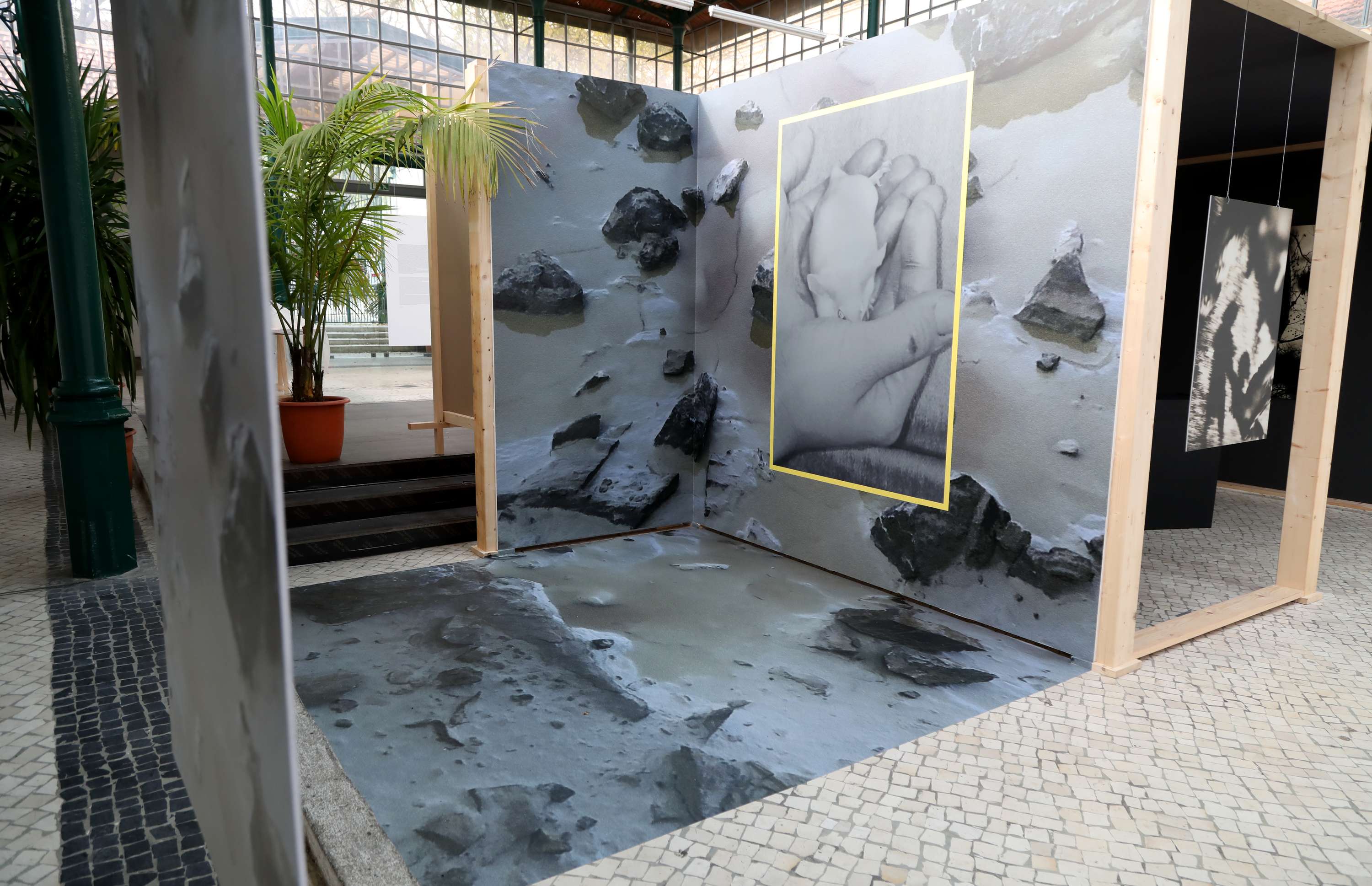 Being / Seeing at Parallel Review by Nikki Zoë Omes