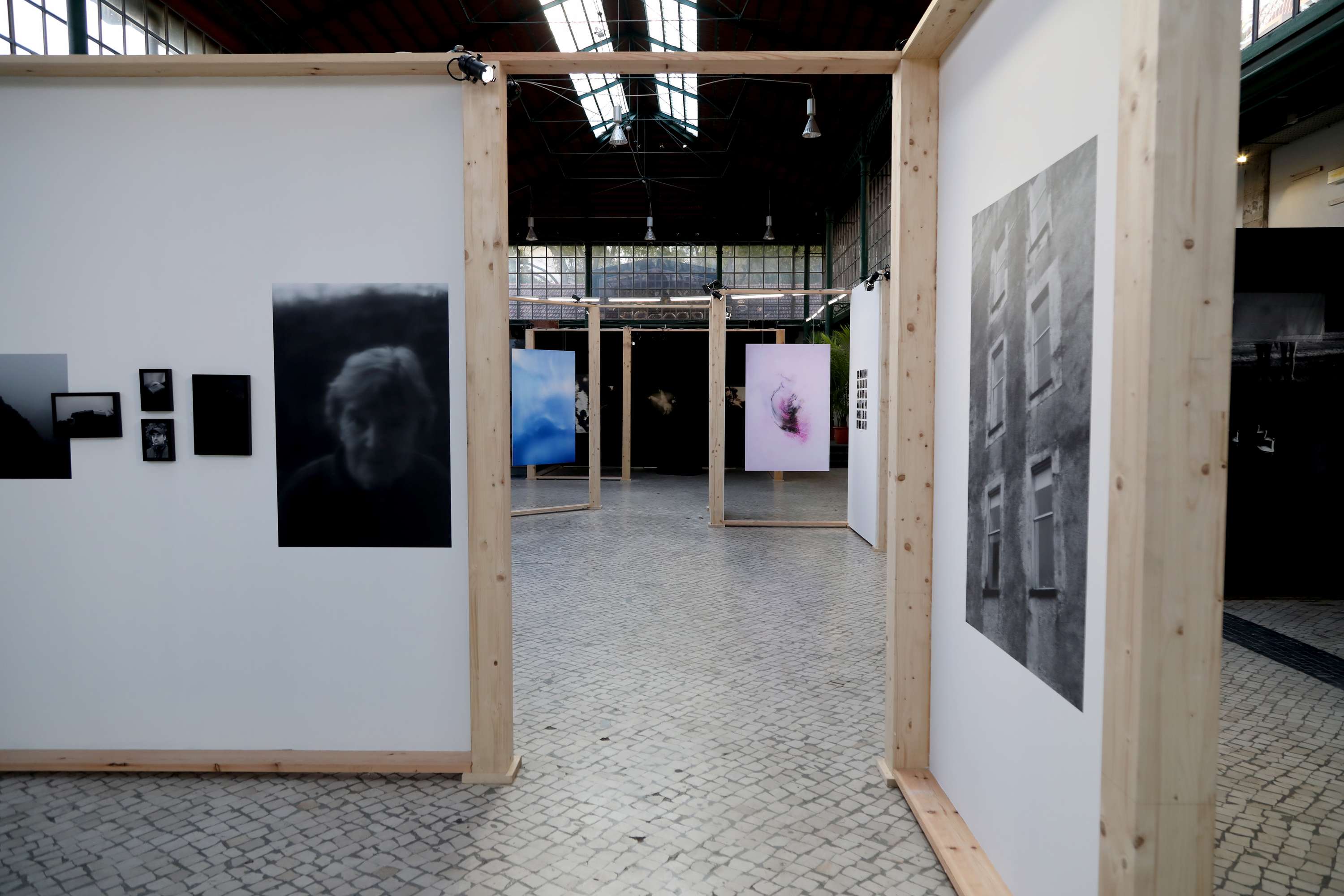 Being / Seeing at Parallel Review by Nikki Zoë Omes