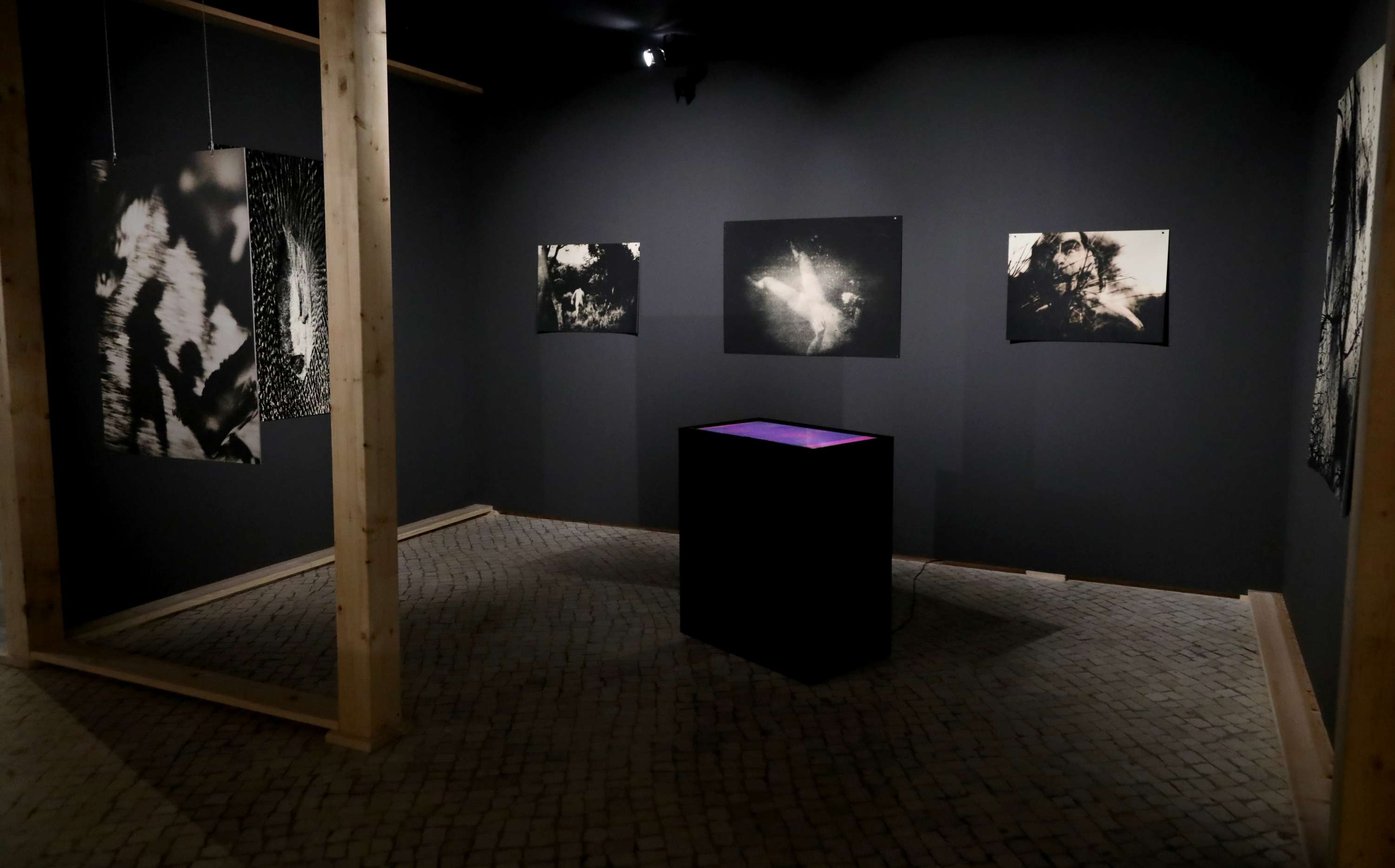 Being / Seeing at Parallel Review by Nikki Zoë Omes