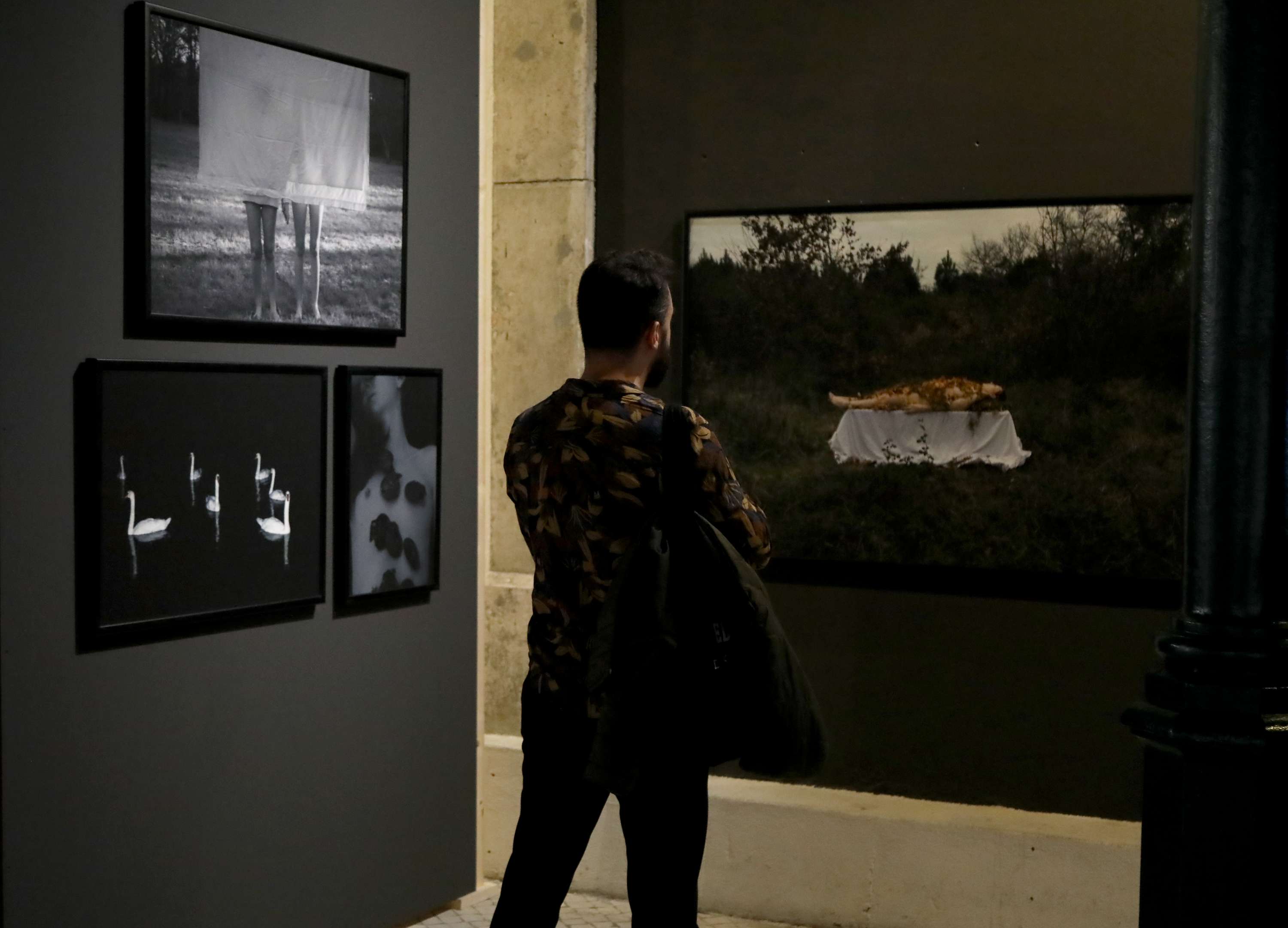 Being / Seeing at Parallel Review by Nikki Zoë Omes