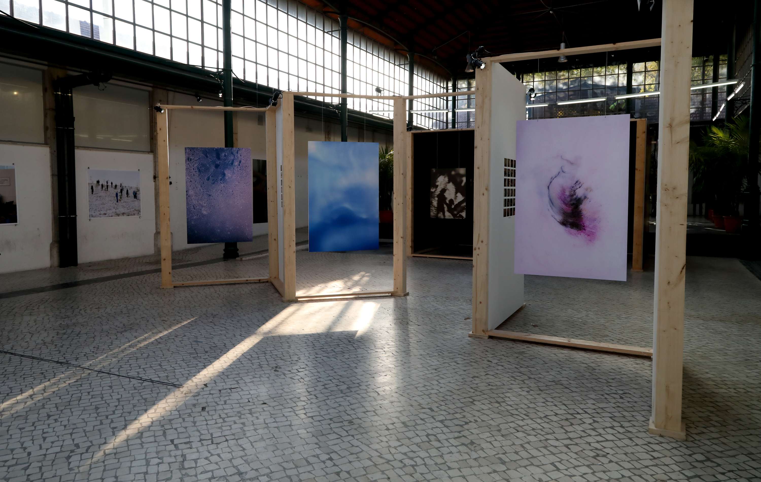 Being / Seeing at Parallel Review by Nikki Zoë Omes