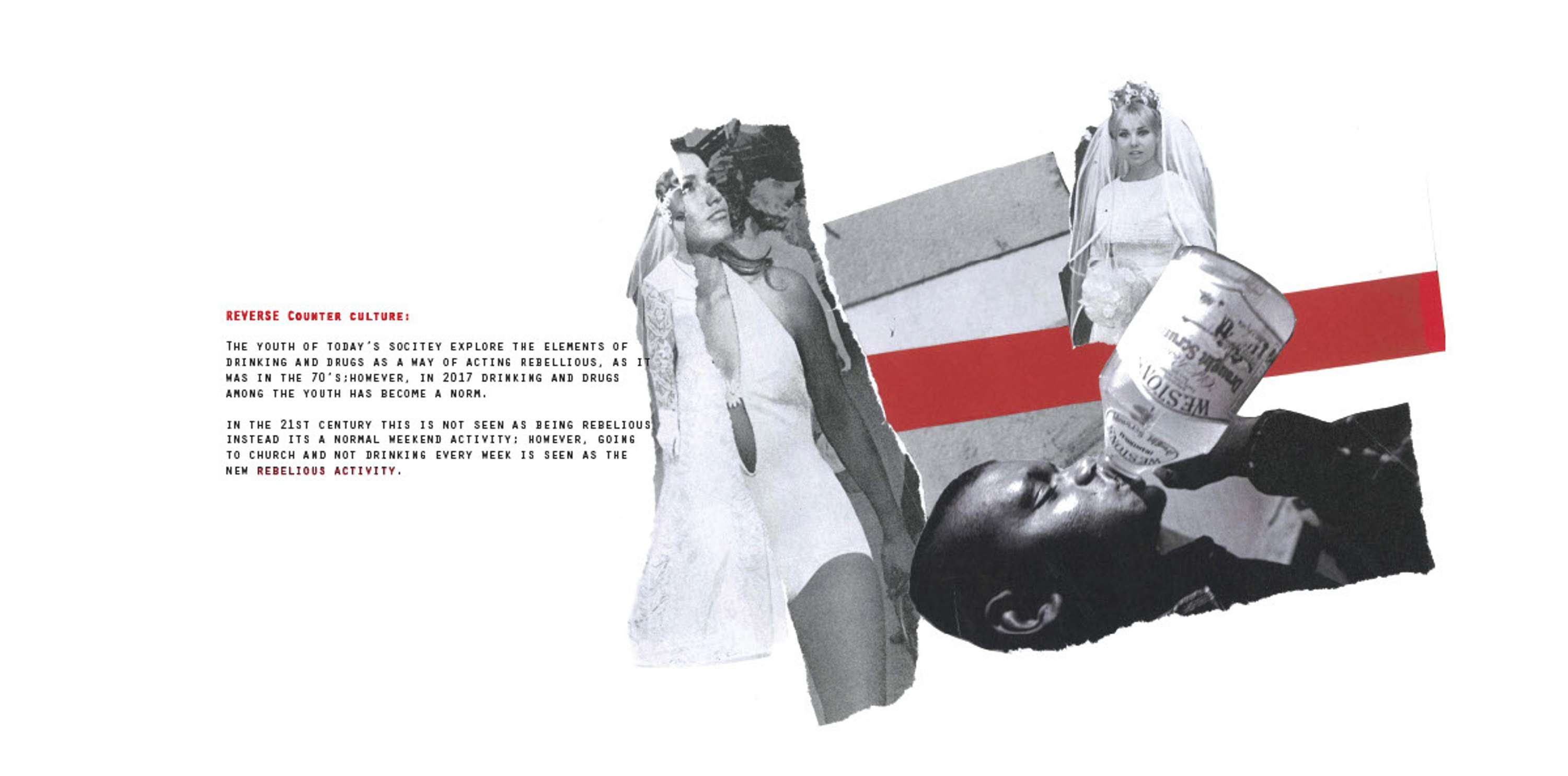 The White Project by Daniella Silvera
