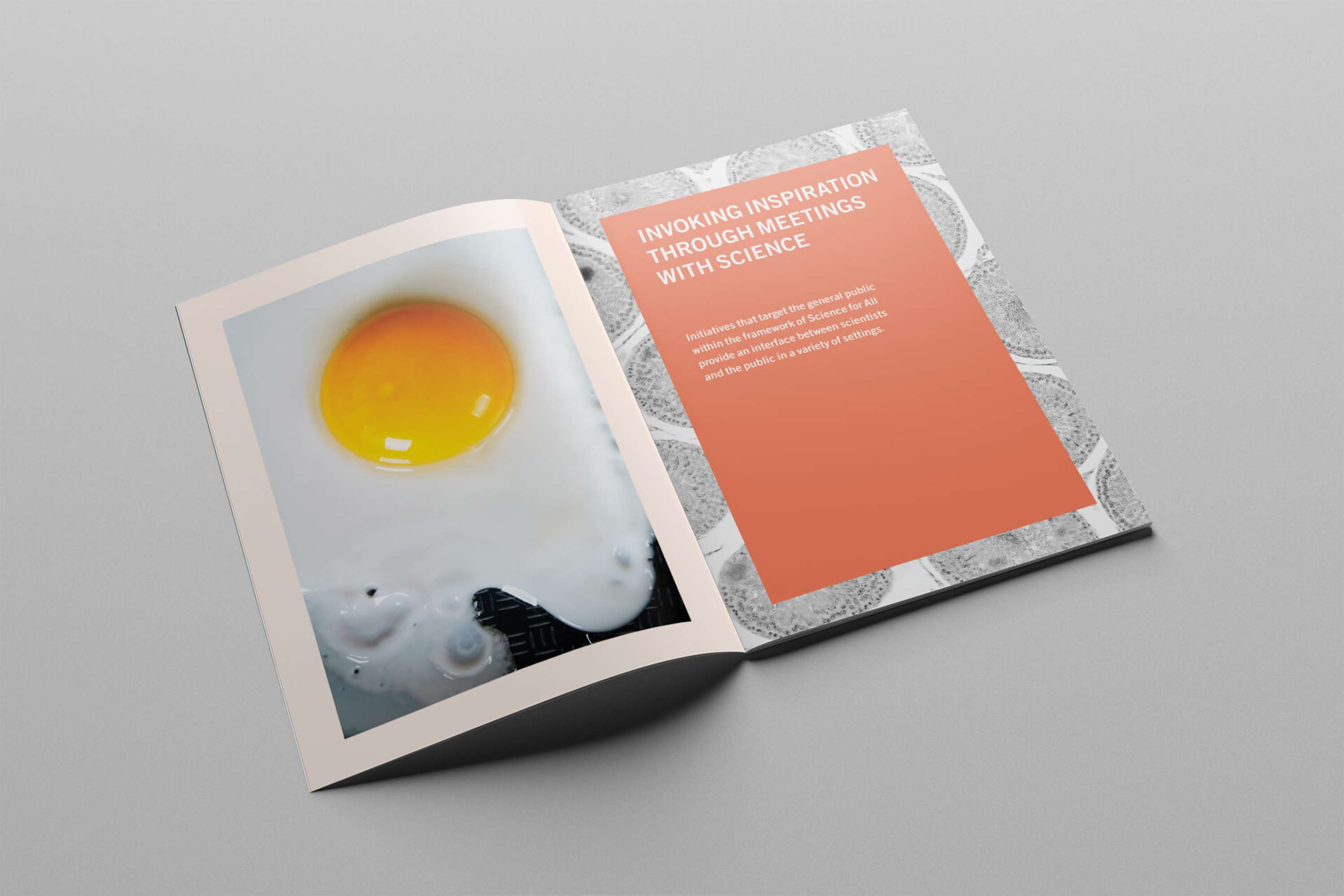 Connecting People to Science by Morin Glimmer