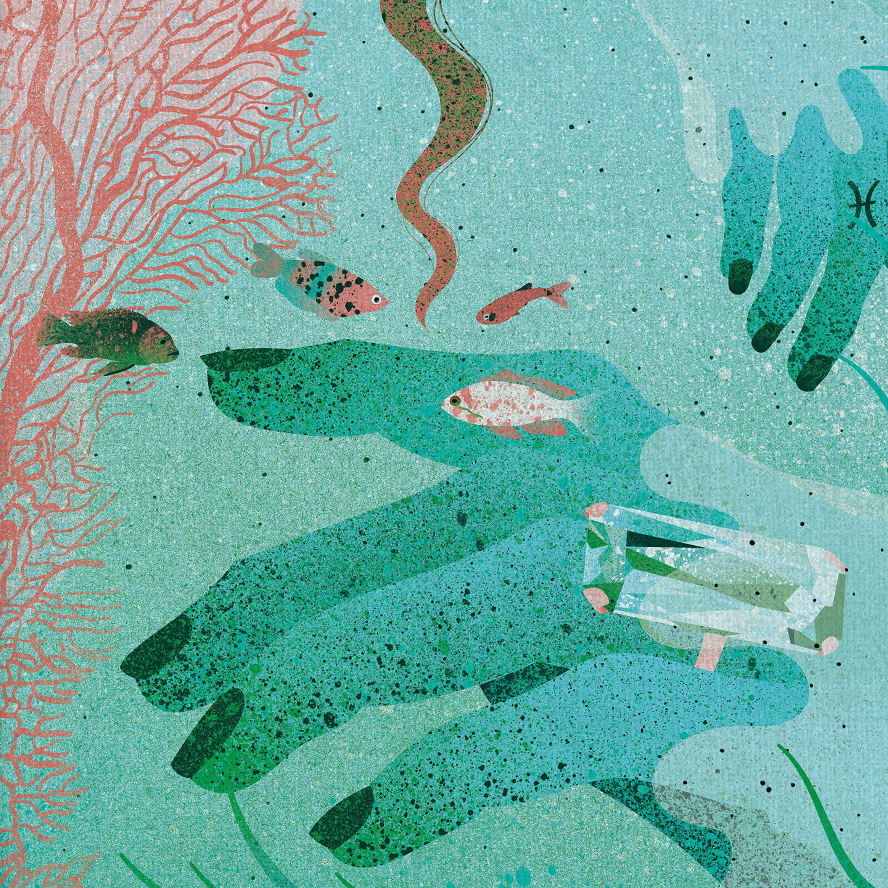 Zodiac Prints by Eve Lloyd Knight