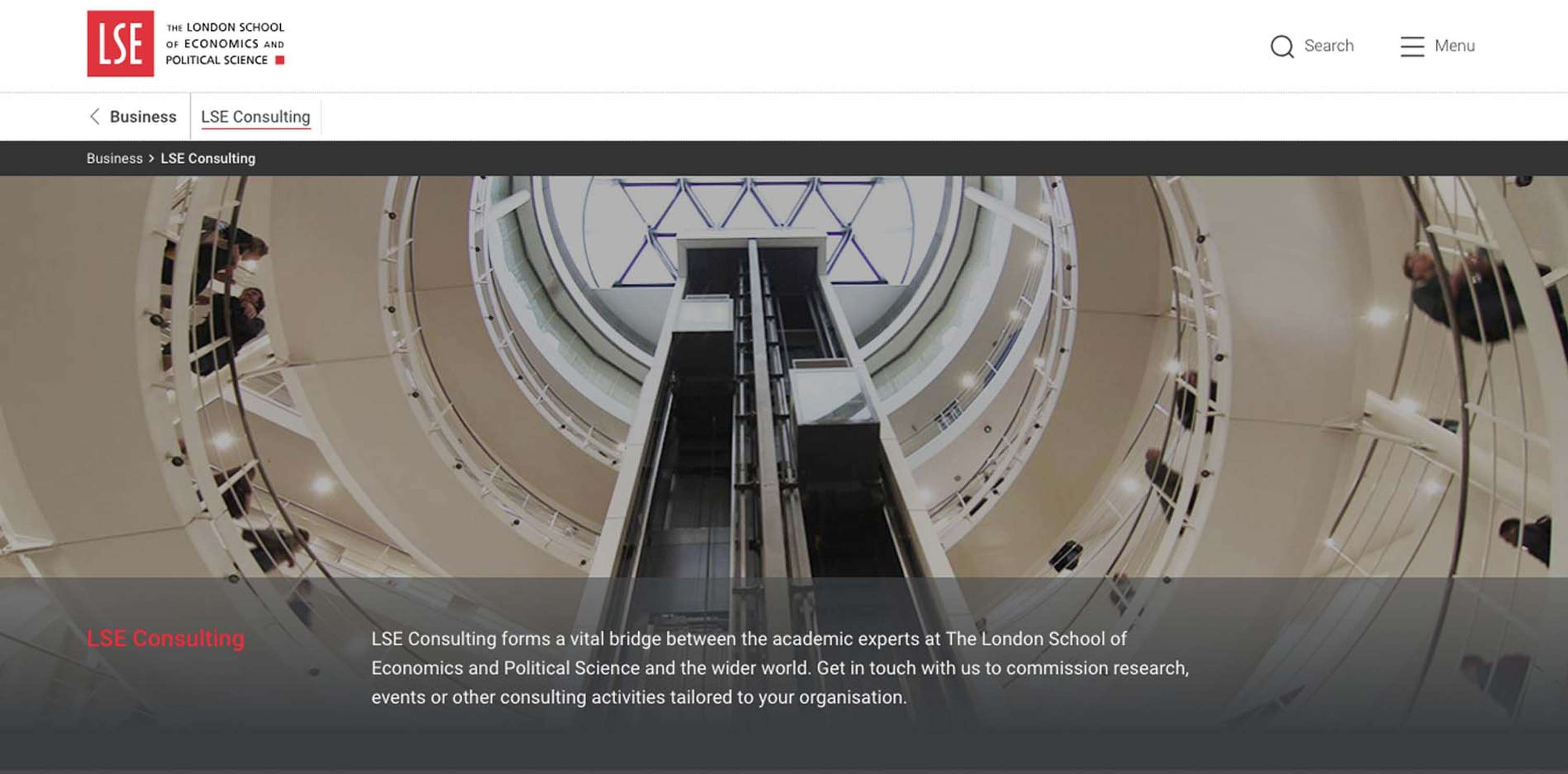 LSE, Website Design & Development by Shelley Pestaina