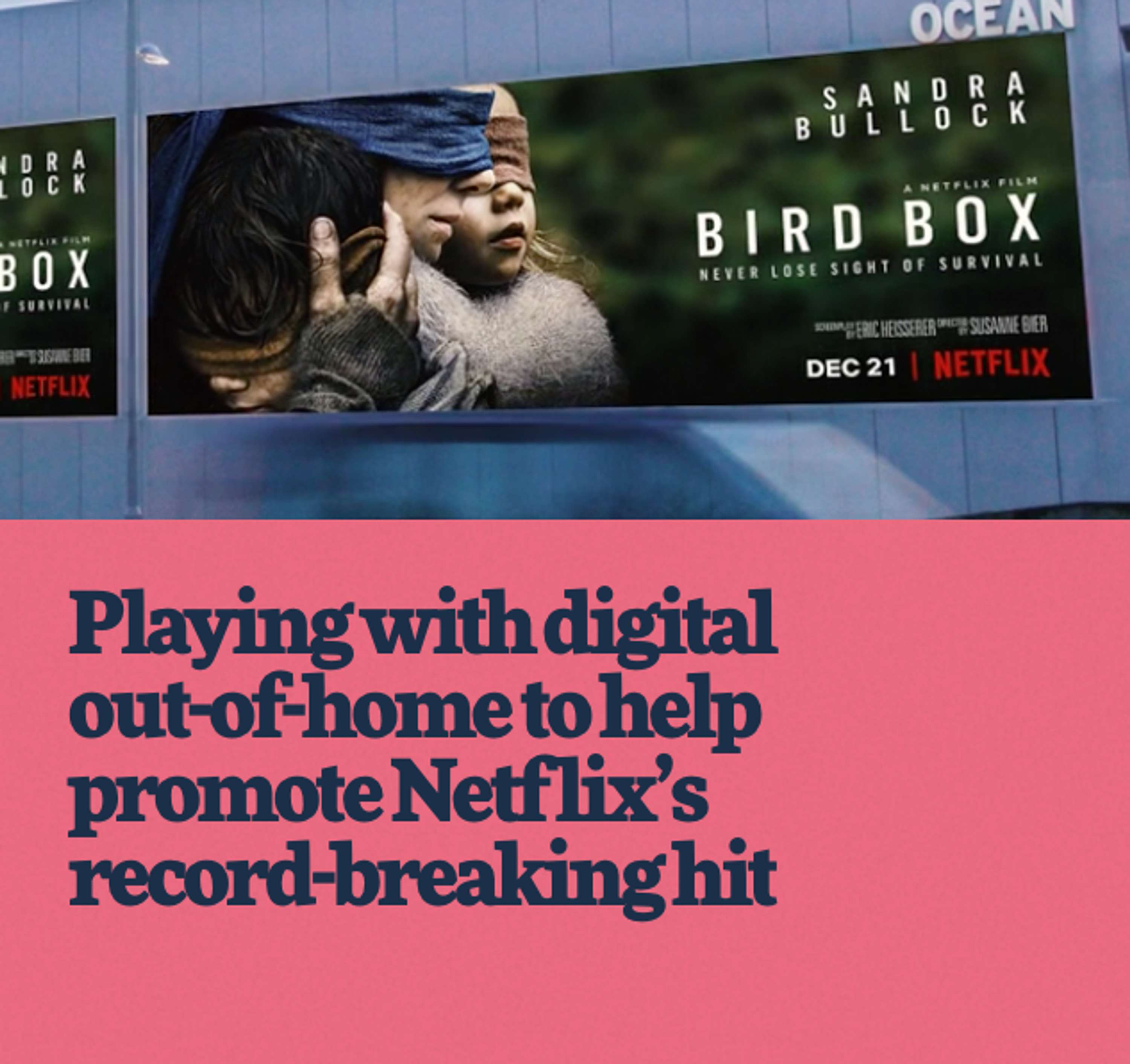 Flying High with Bird Box by Tommy