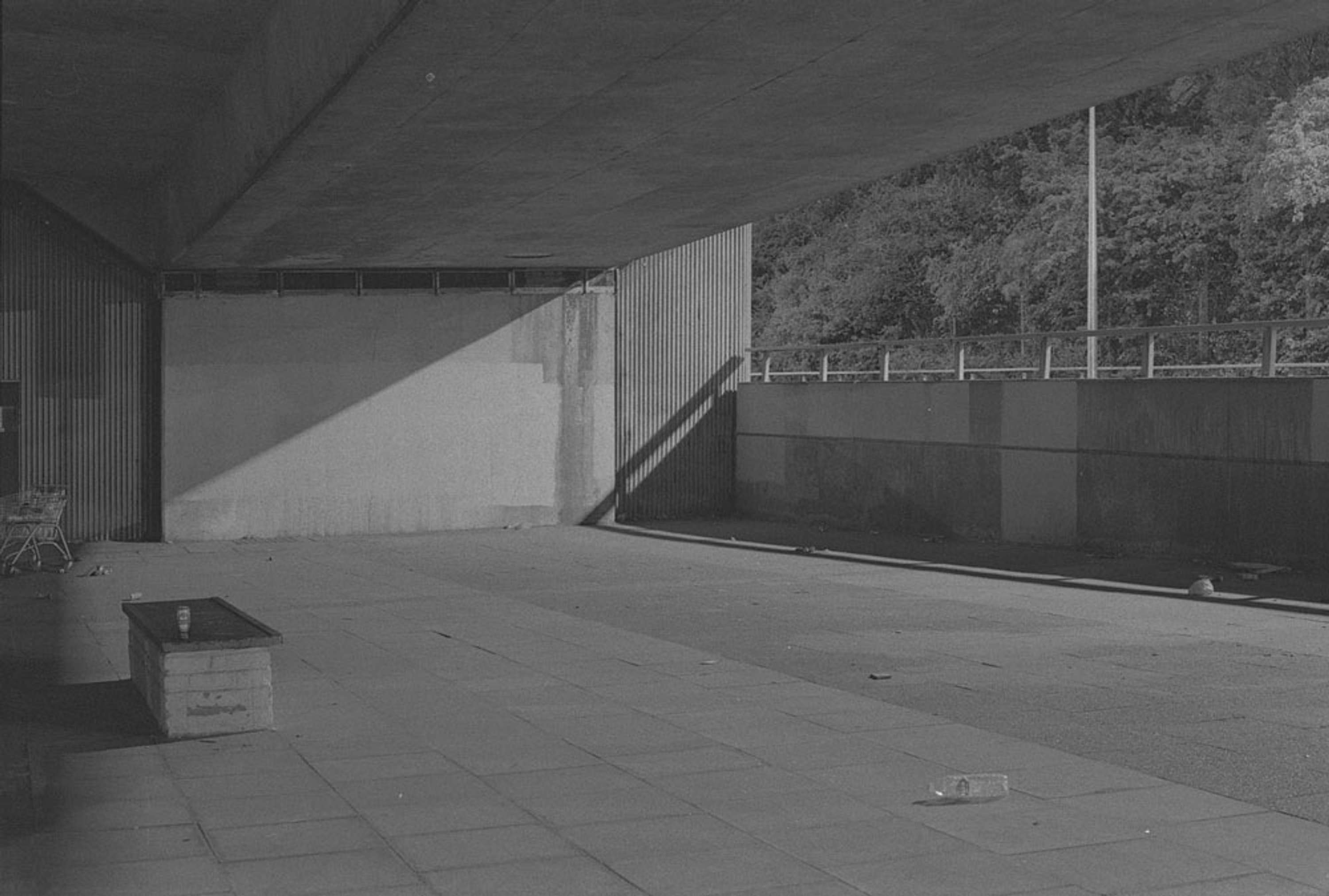 Blackwall Approach – Beneath Concrete by Megan Conery