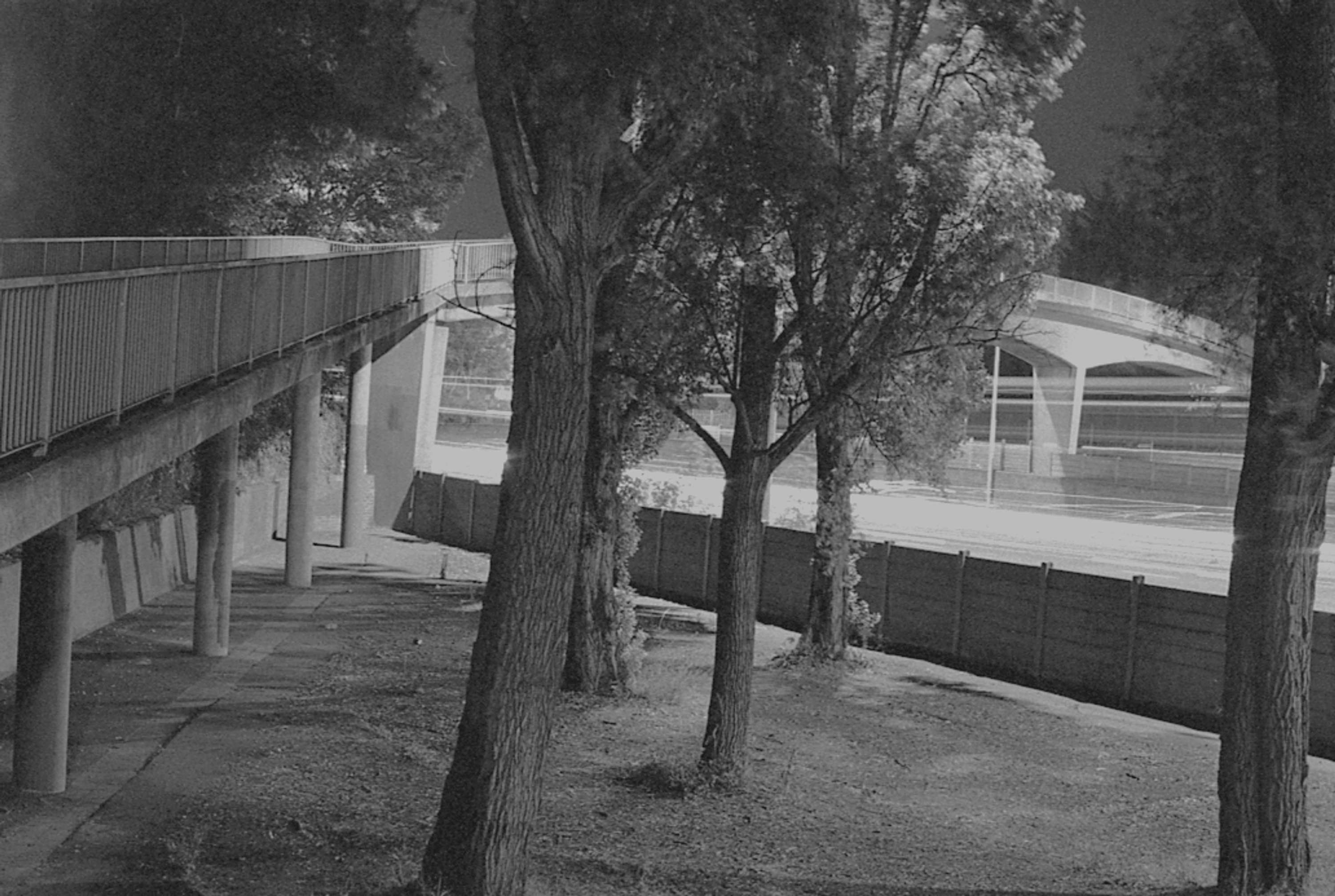 Blackwall Approach – Beneath Concrete by Megan Conery
