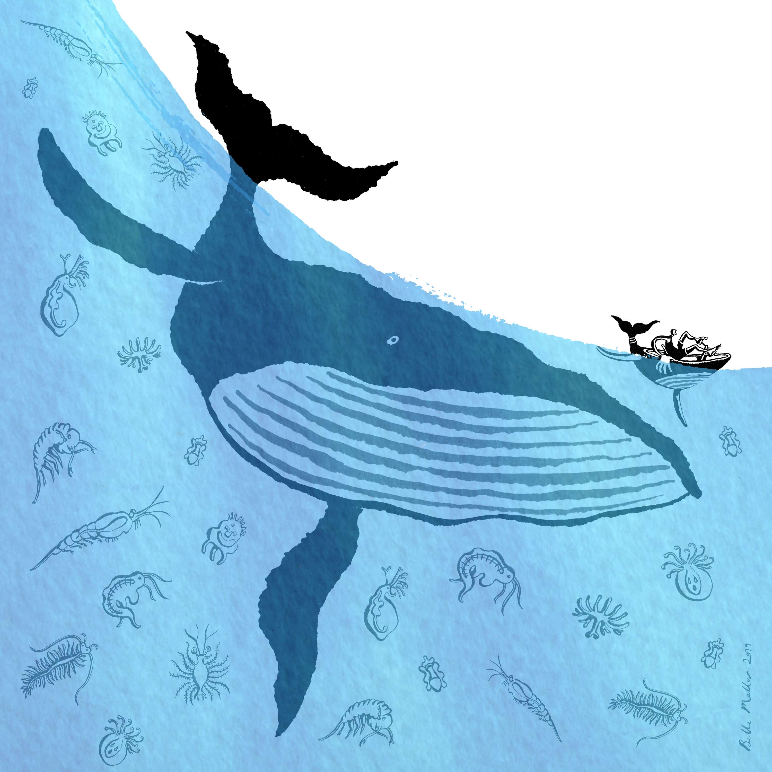 Animal Dynamics by Belle Mellor