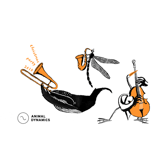 Animal Dynamics by Belle Mellor
