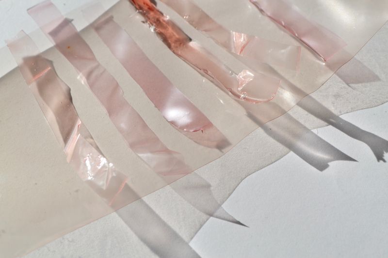 The creation of bio plastic by Alicia Collinson