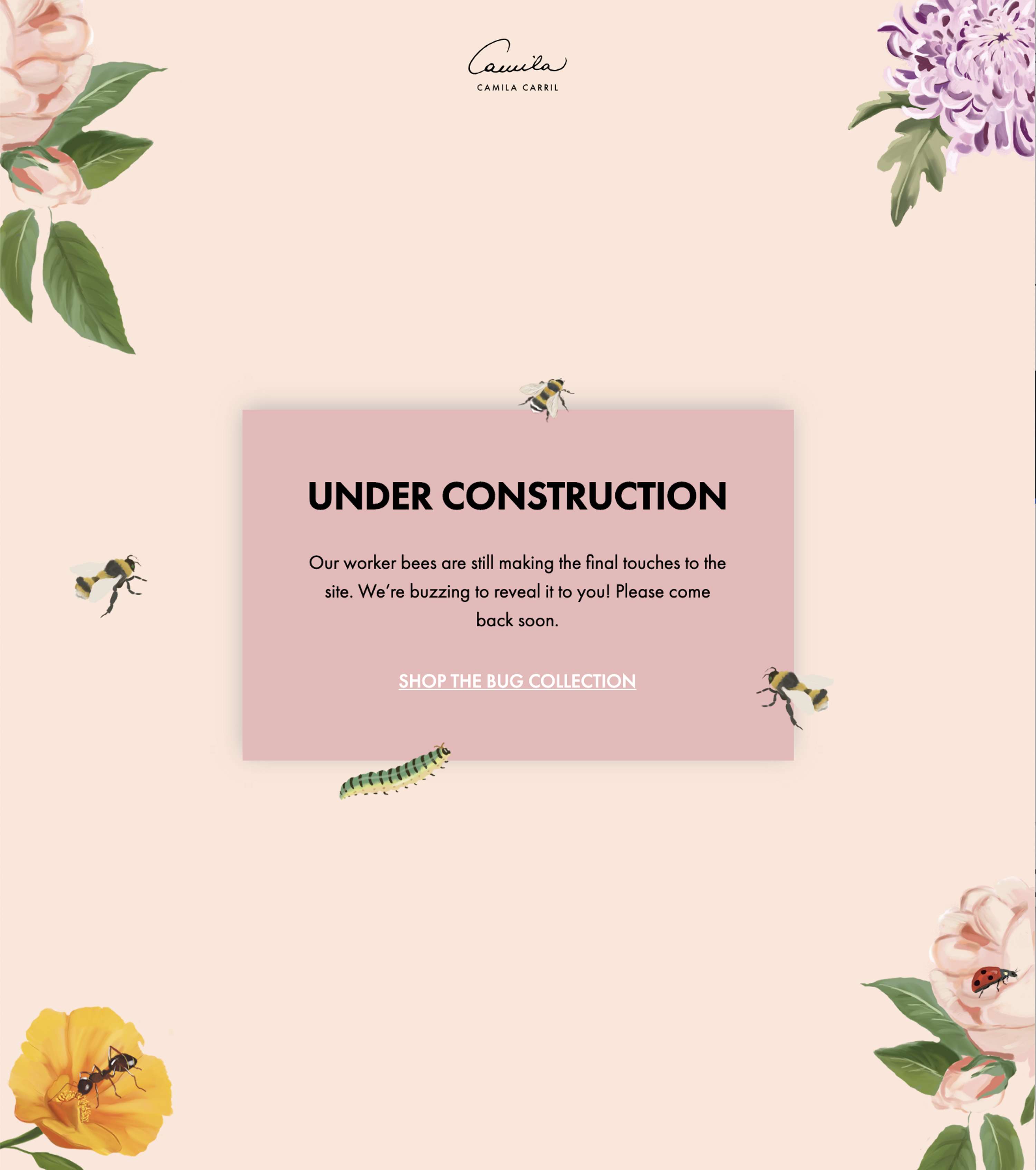 Website Creation & Copywriting | bycamilacarril.com by Carina Derhalli