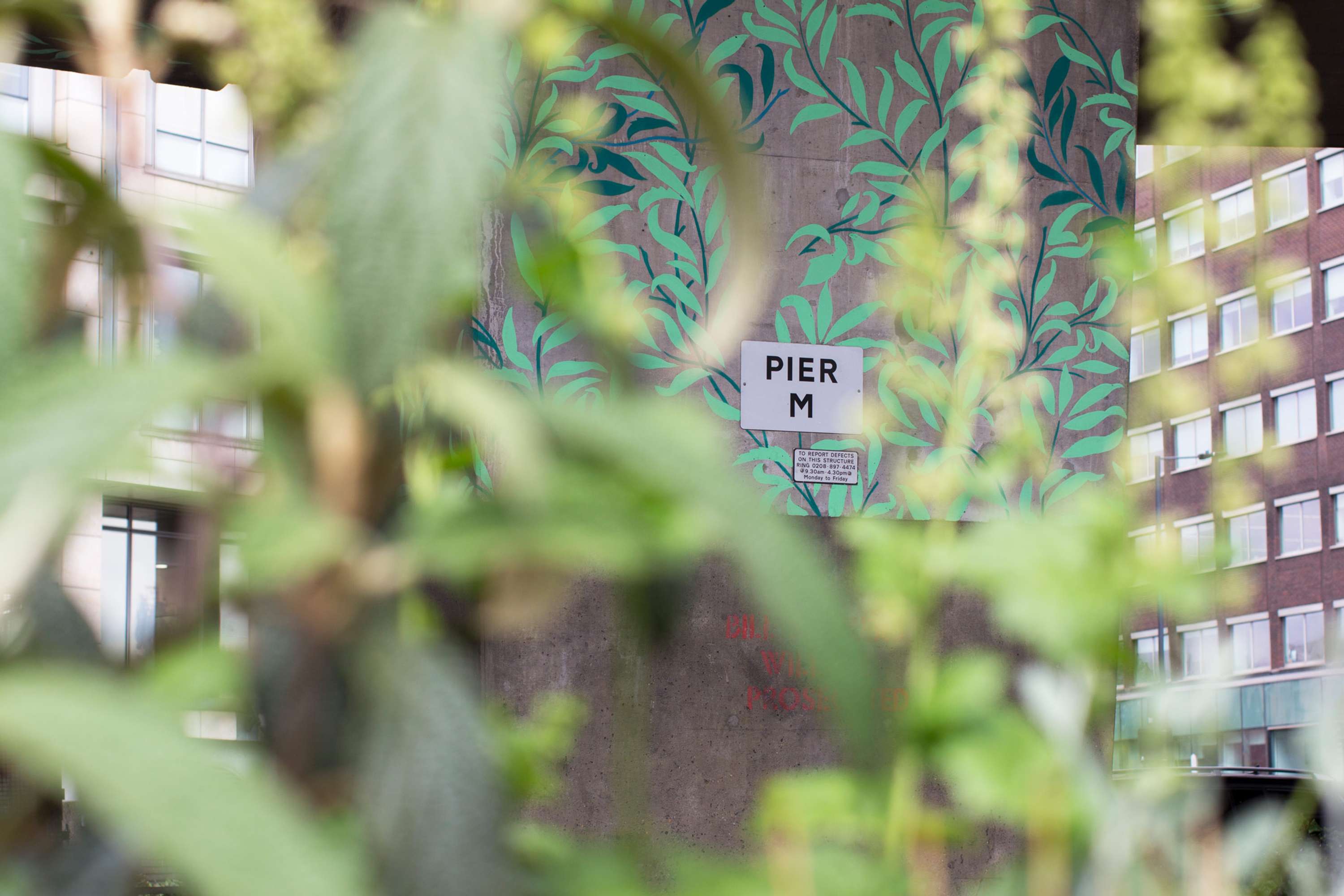 Plants not Pollution by Fieldwork Facility
