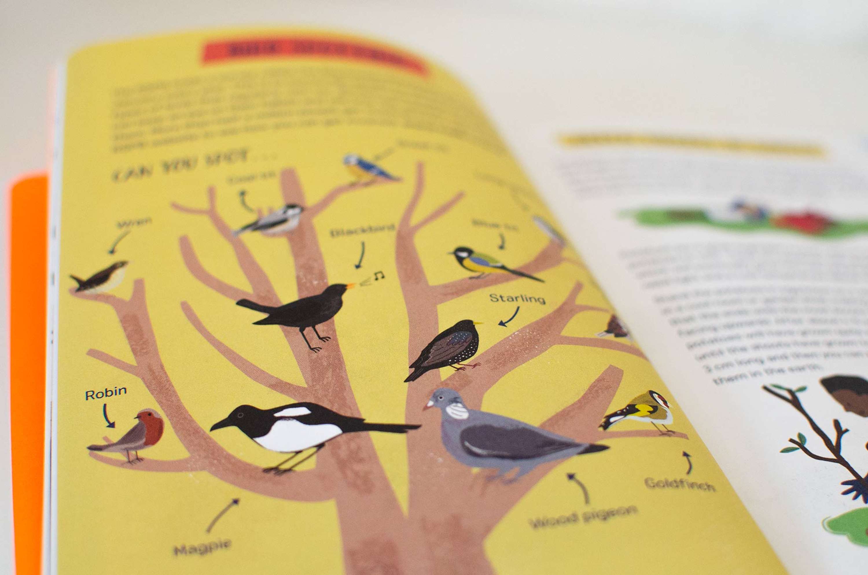 2019 Nature Month by Month by Elly Jahnz