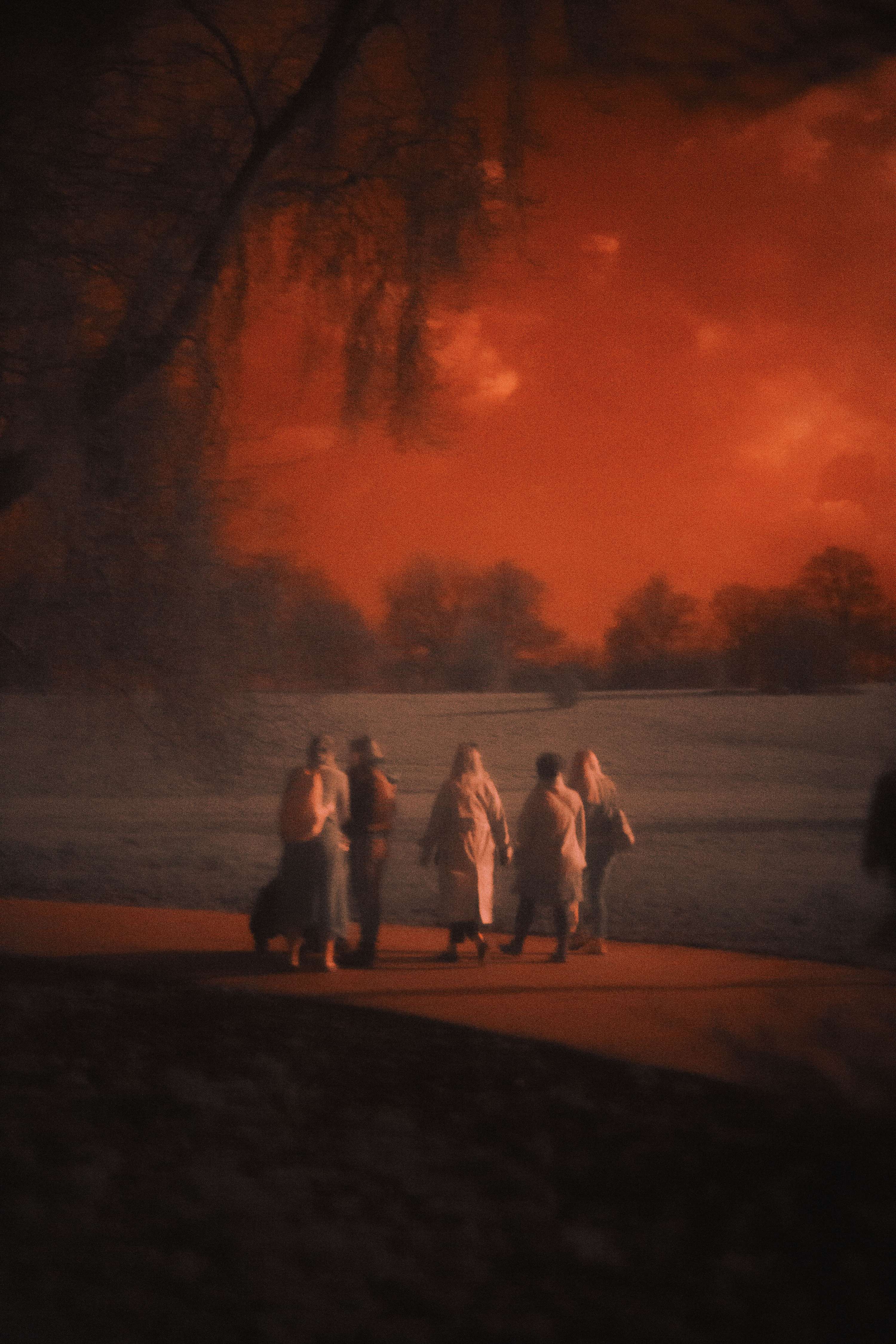 Hampstead Heath in Infra Red by Julia Brown