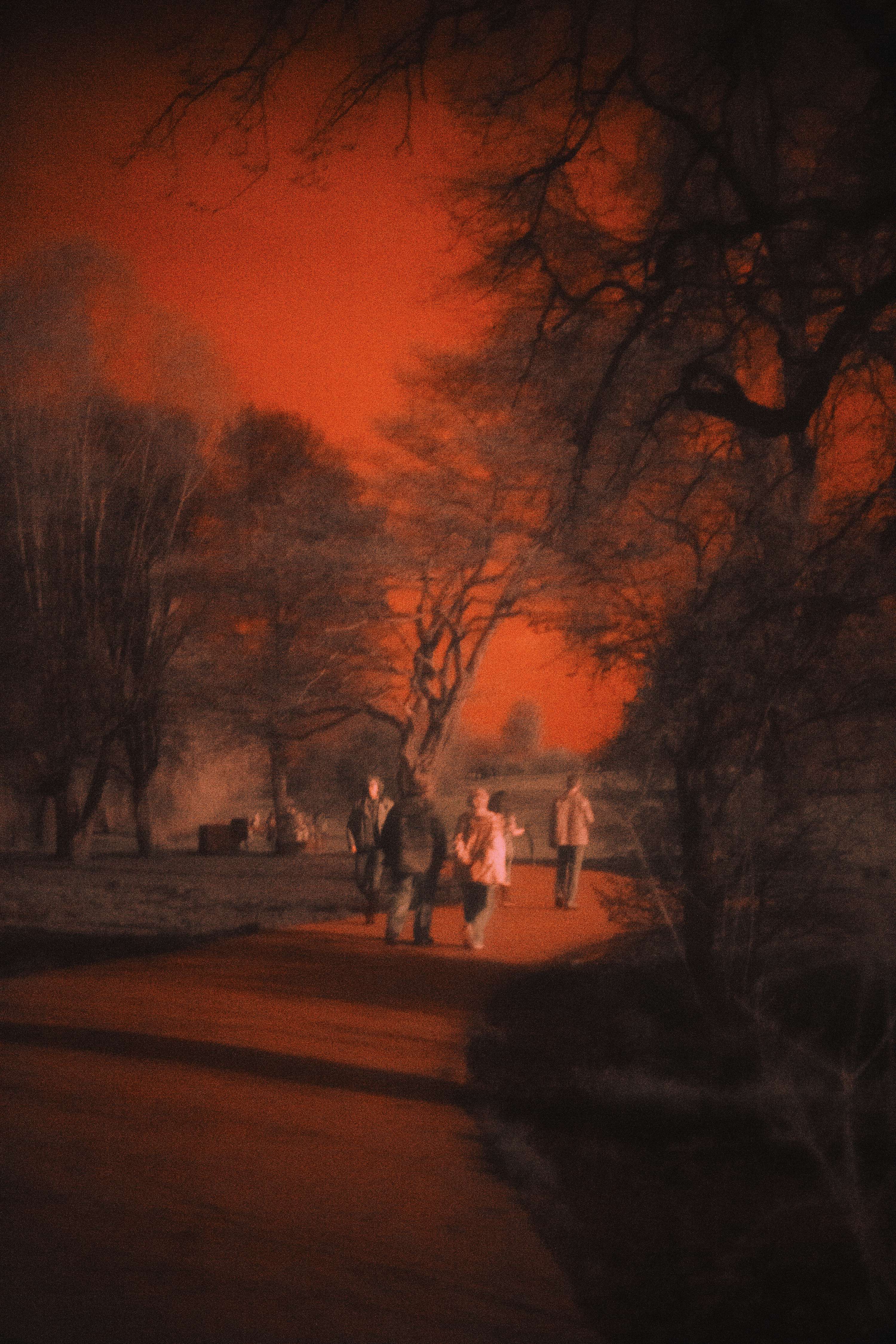 Hampstead Heath in Infra Red by Julia Brown