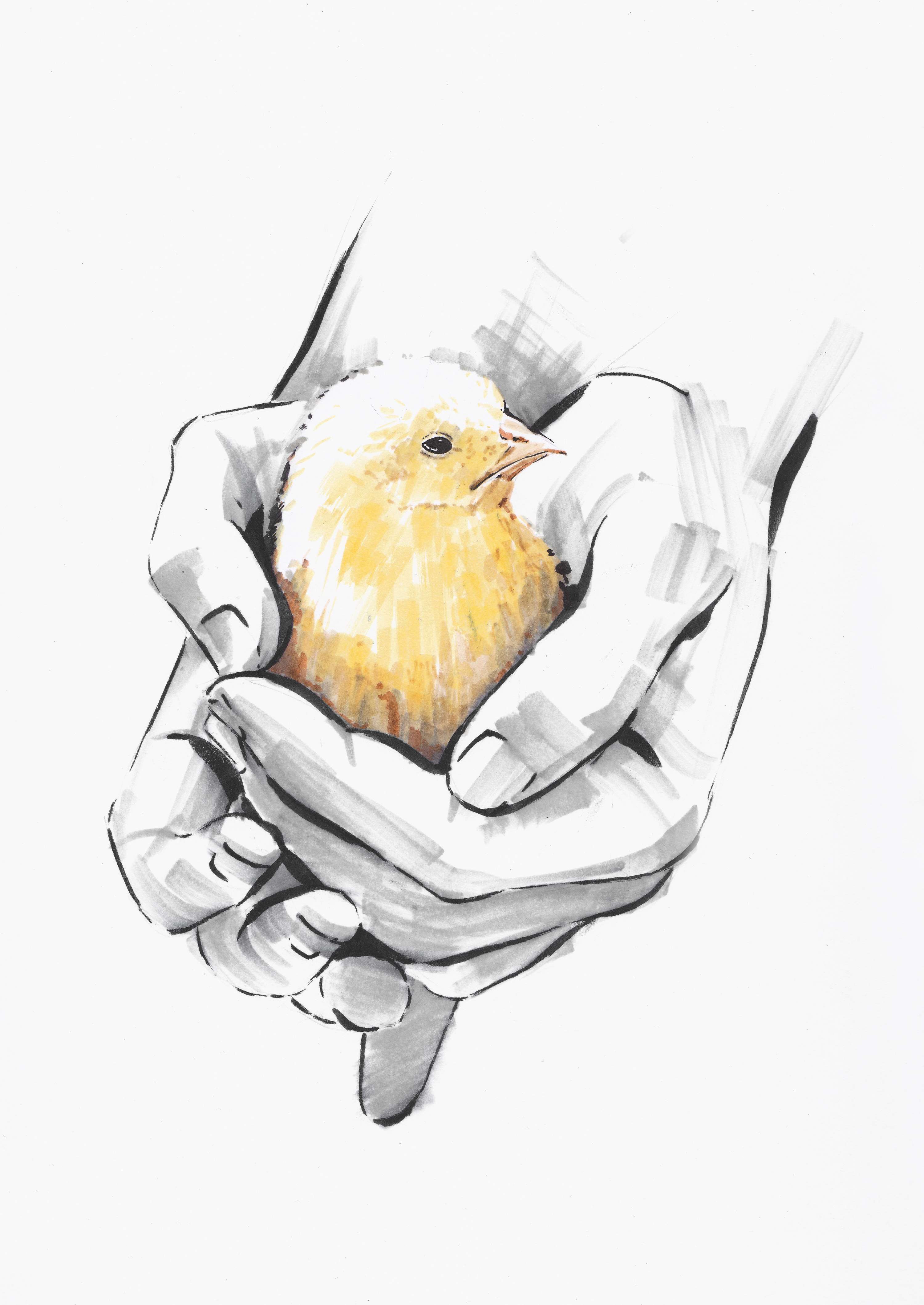 Hands by Laura Hope