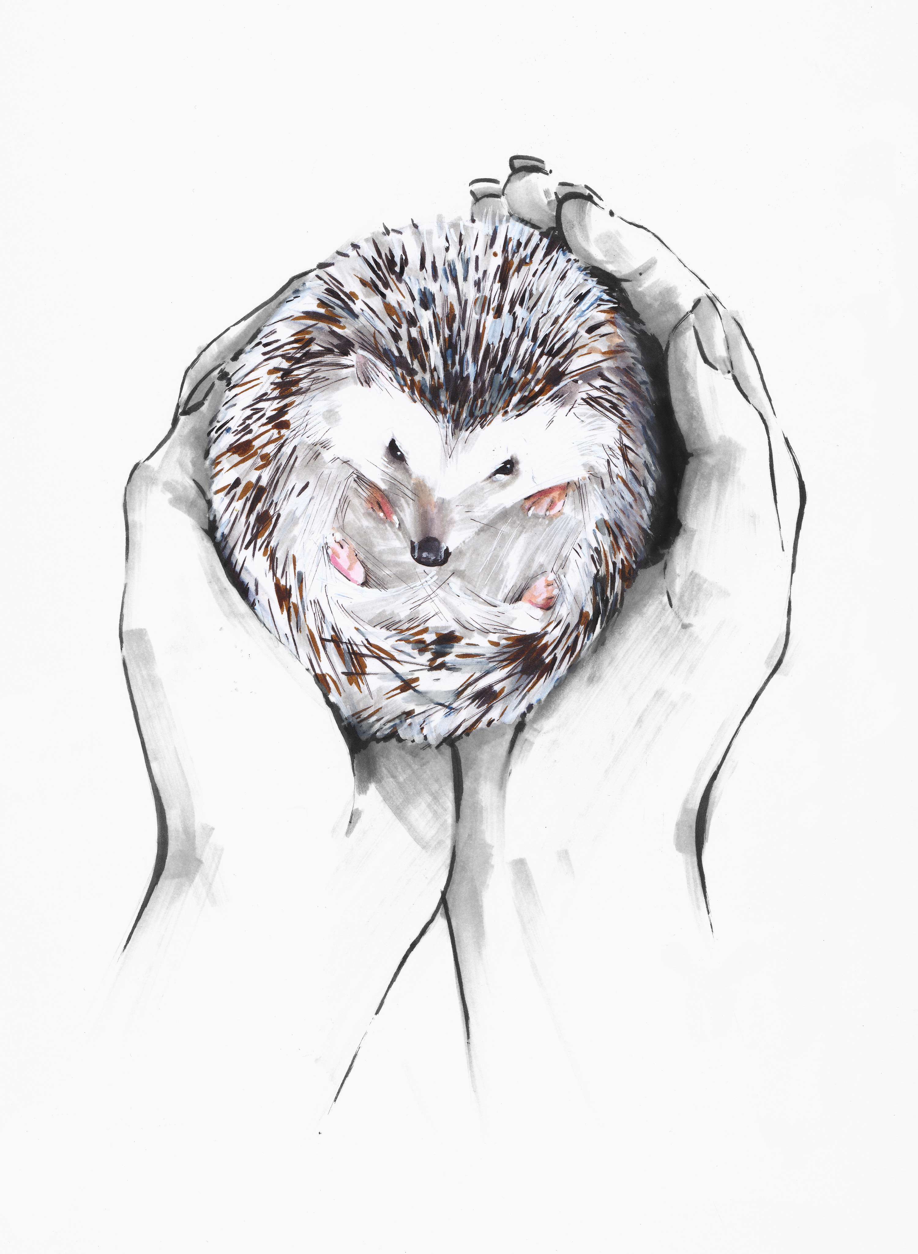 Hands by Laura Hope