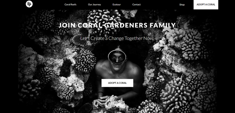Coral Gardeners by Emilie Frontera