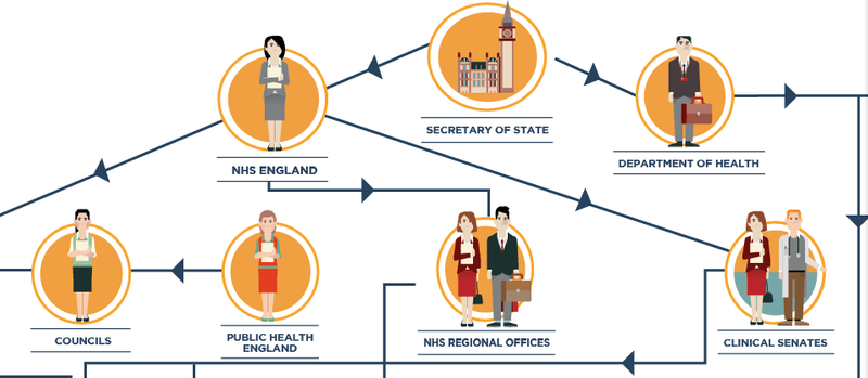 NHS, Structure infographic by Shelley Pestaina