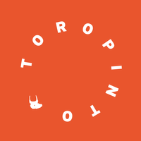 TORO PINTO logo