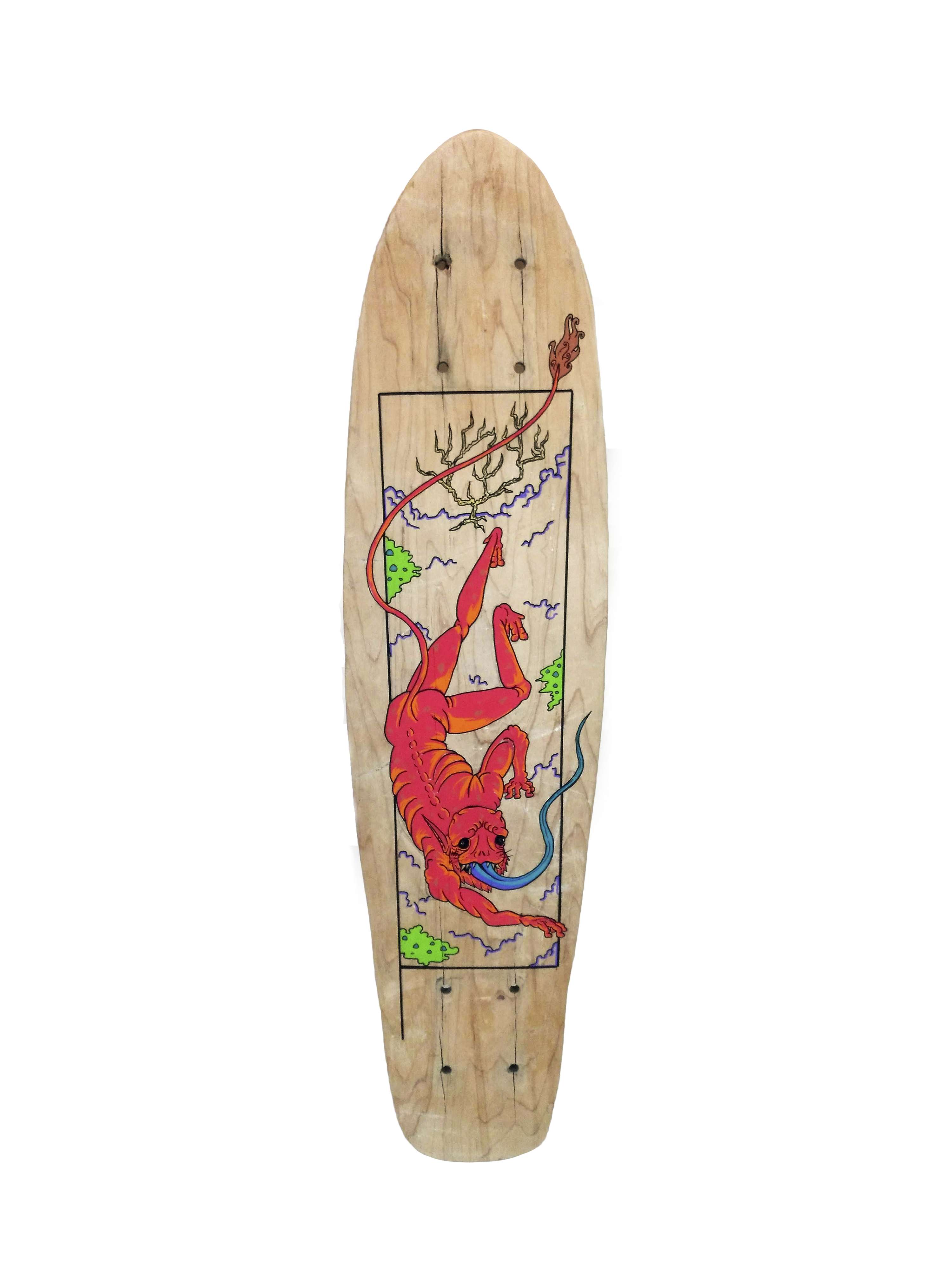 Monte Skates by Octavio Di Gianni