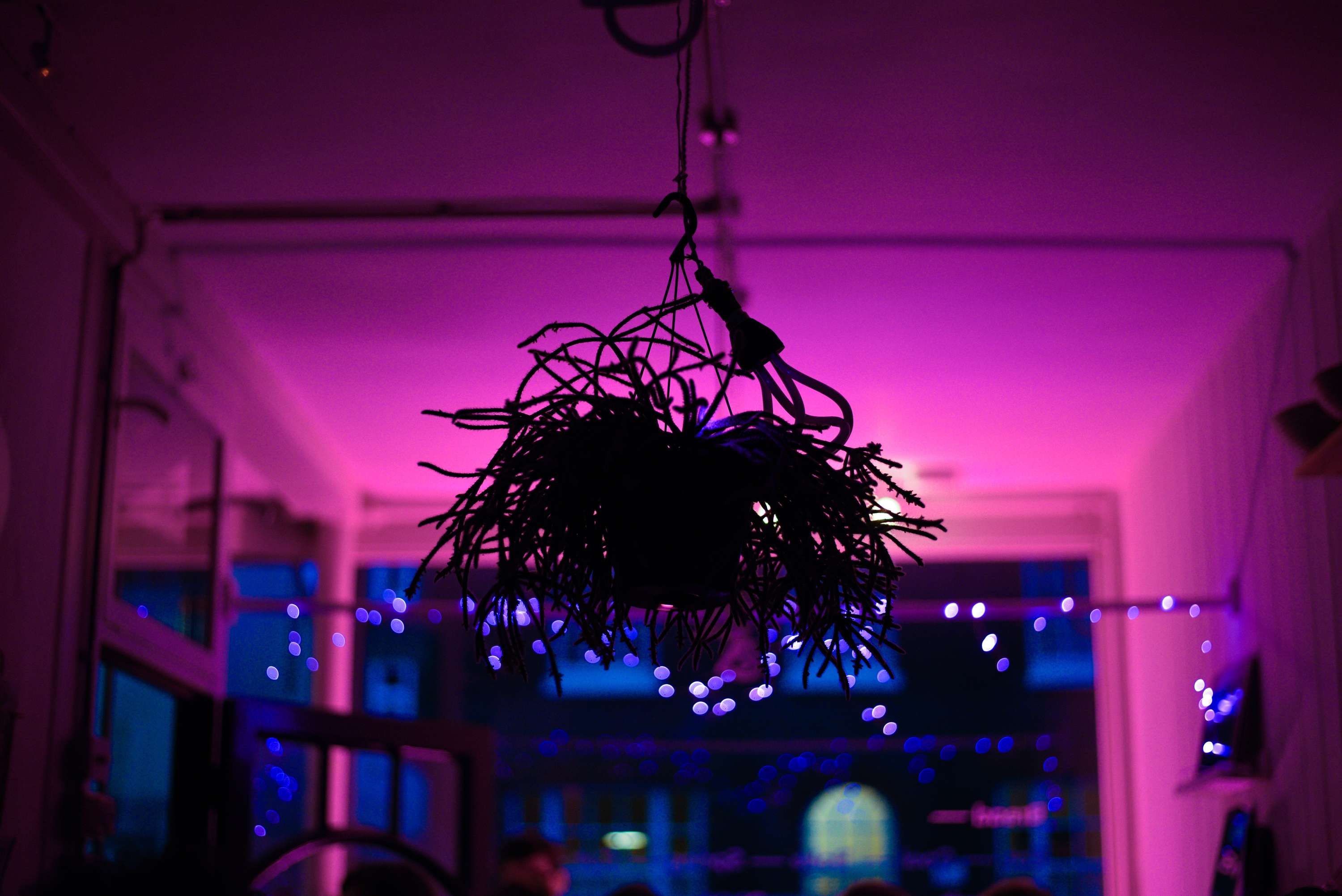 Ephemeral Issue 2 Launch by Lily Lambie-Kiernan
