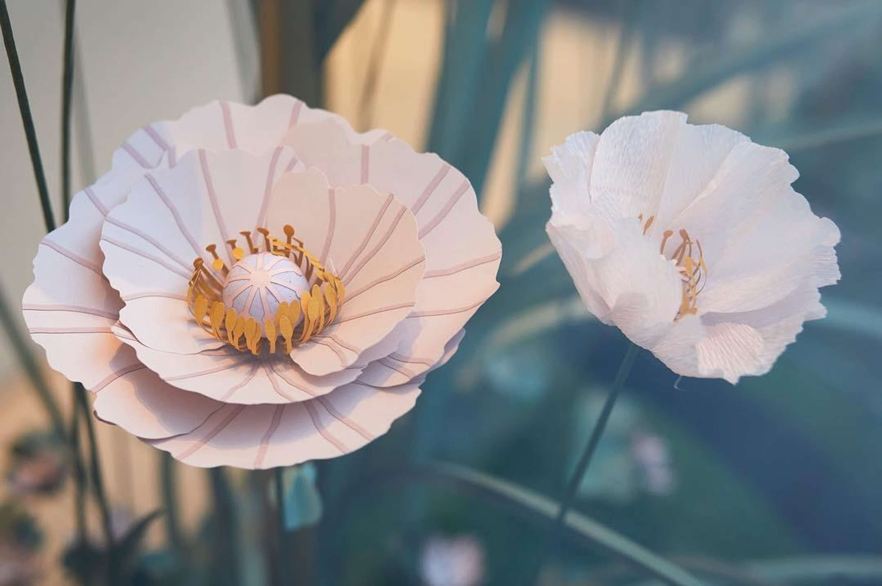 Pandora Spring 2019 by Jack Fletcher