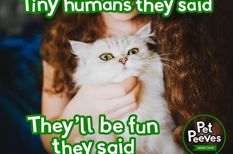 Pet Peeves by Zoe Botchin