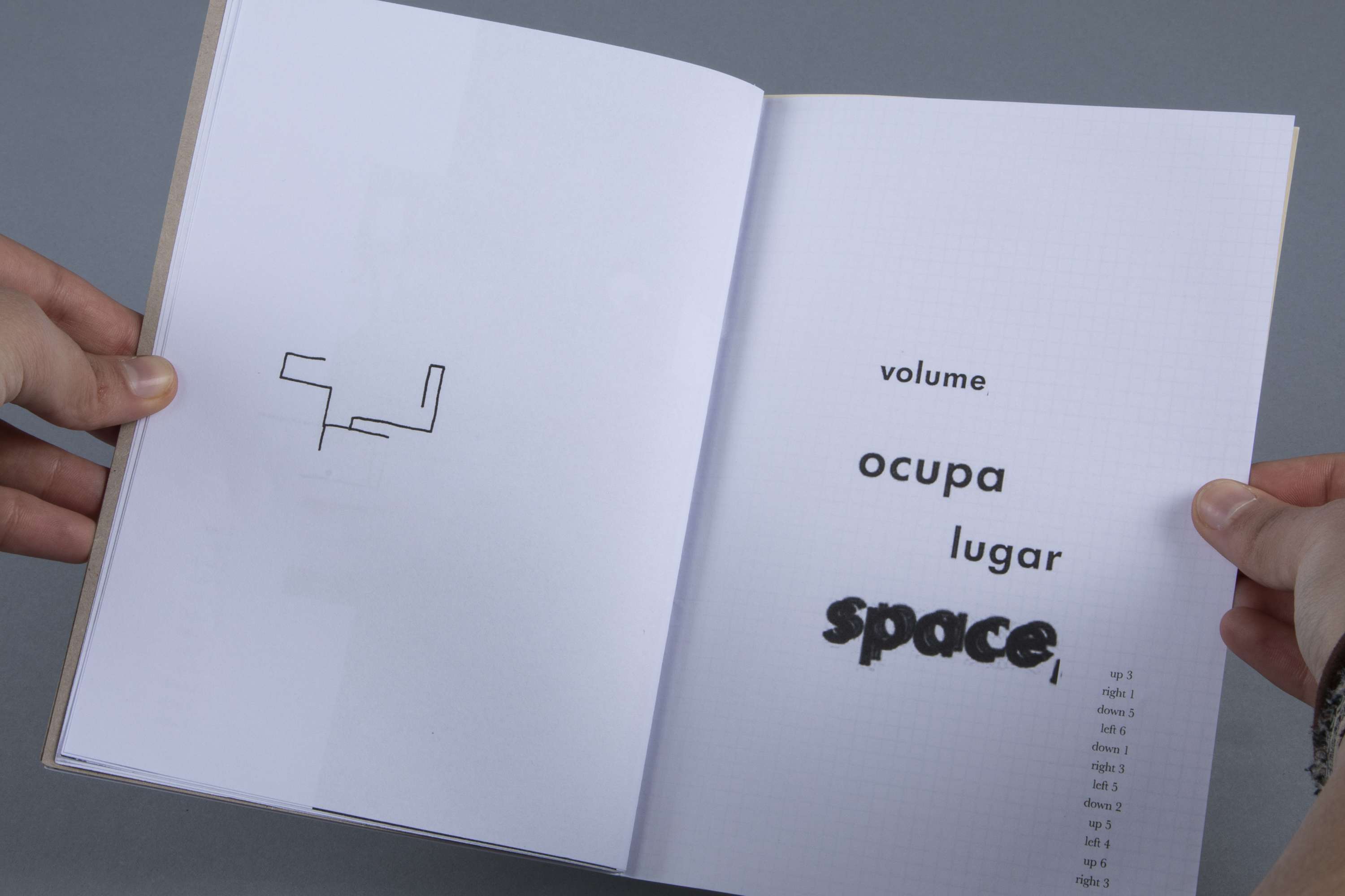 experimental publishing by sofia aguiar