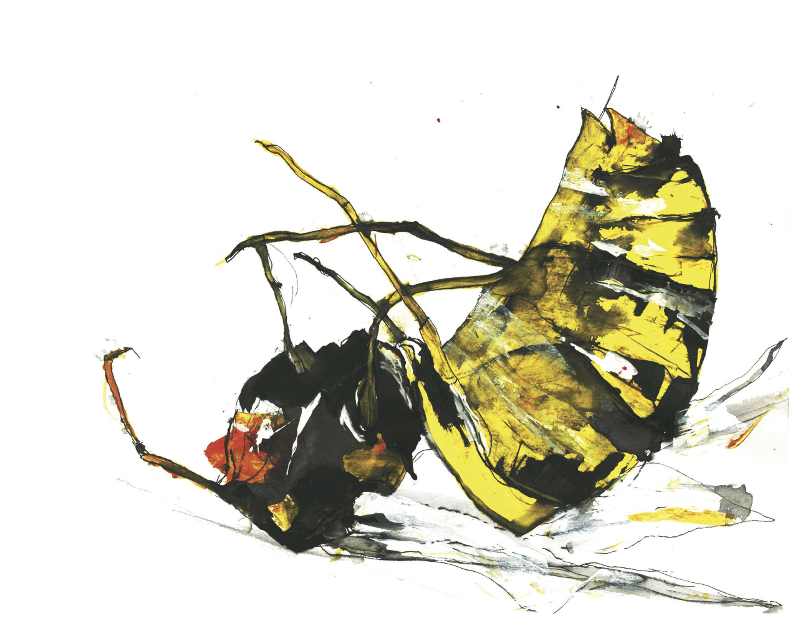 The Wasp Factory by Bella Schilling