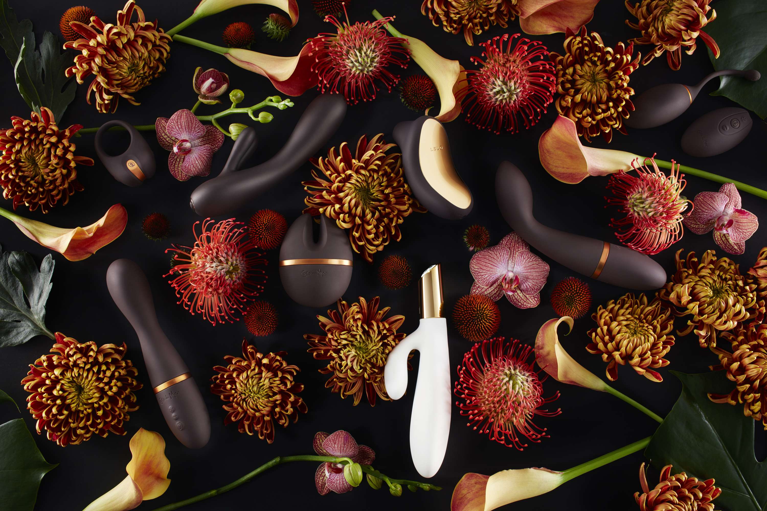Coco De Mer by Felicity Hopkinson