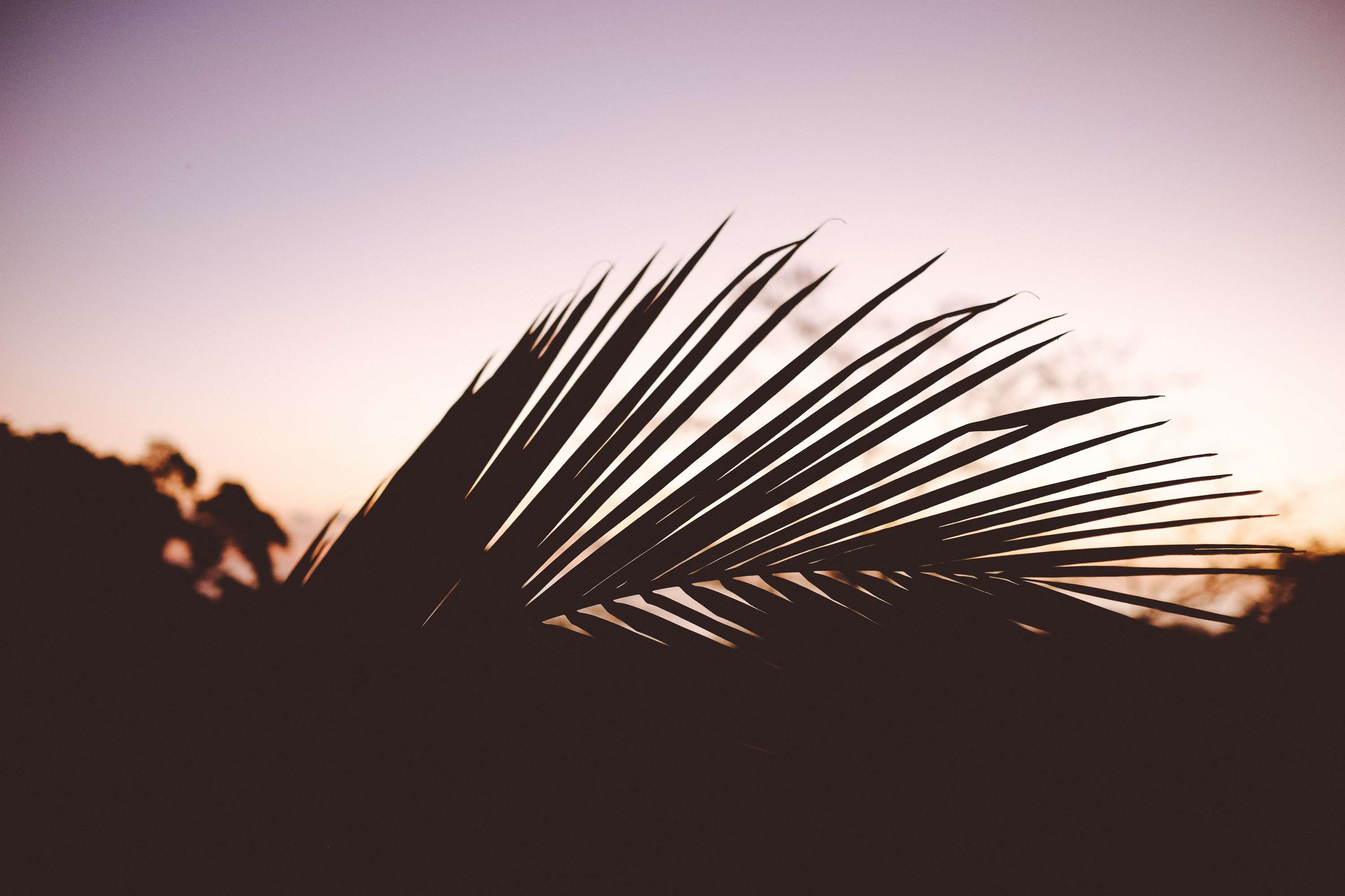 Joya Villas - Website Redesign by Charlotte Rand