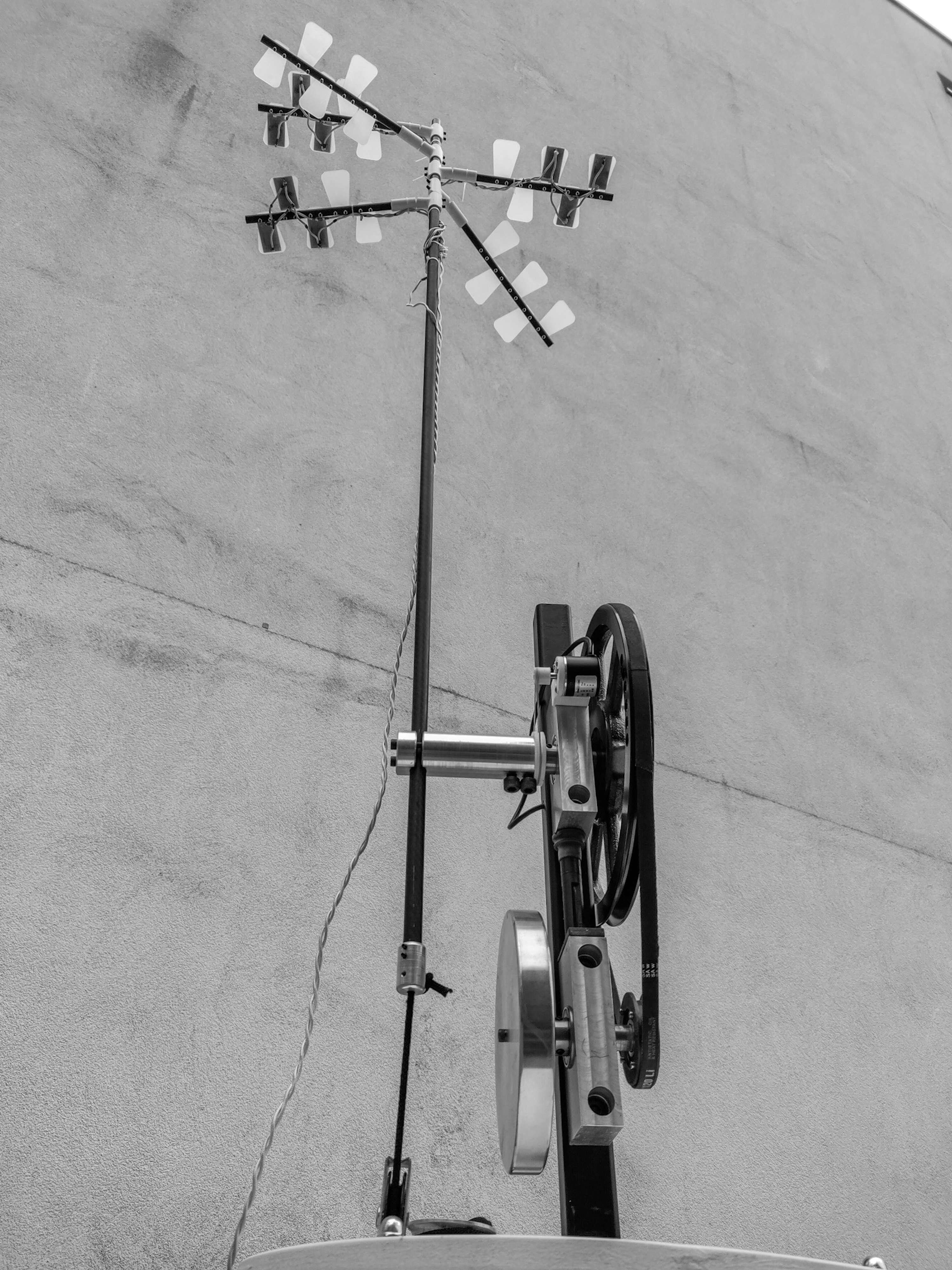 E-Tree by Harvey Rutland